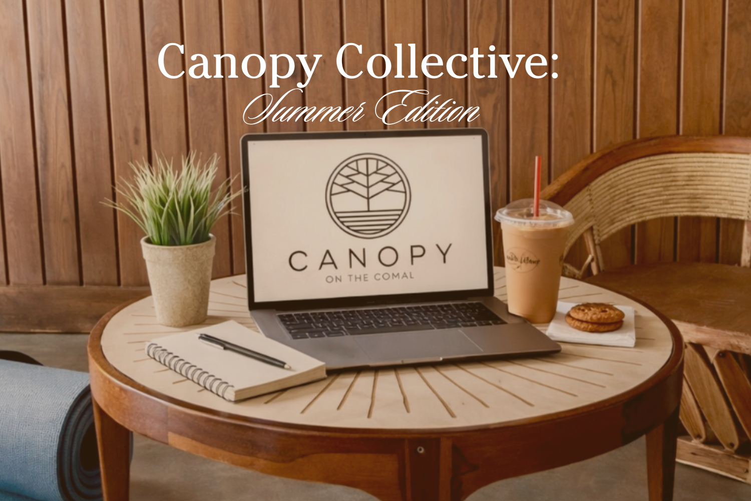Canopy Collective: Summer Edition