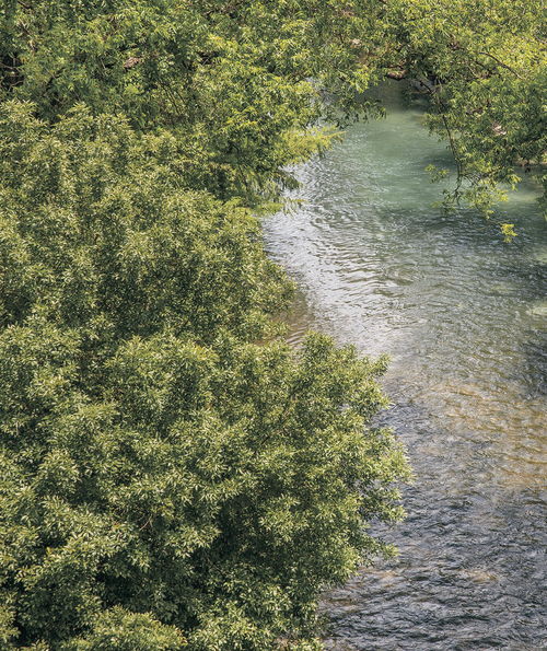 Canopy On The Comal, business photo 2