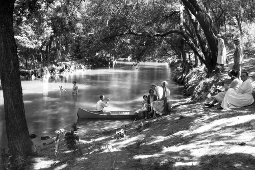 Canopy On The Comal, business photo 7
