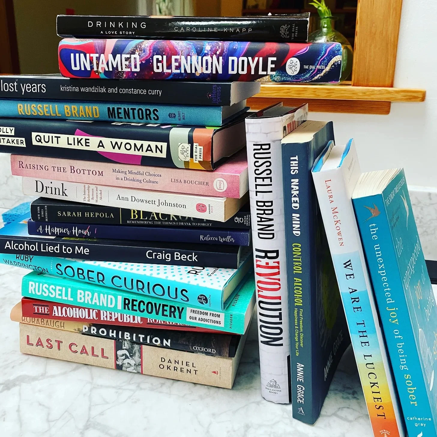 A small sampling of my library on prohibition, alcohol freedom, and recovery.