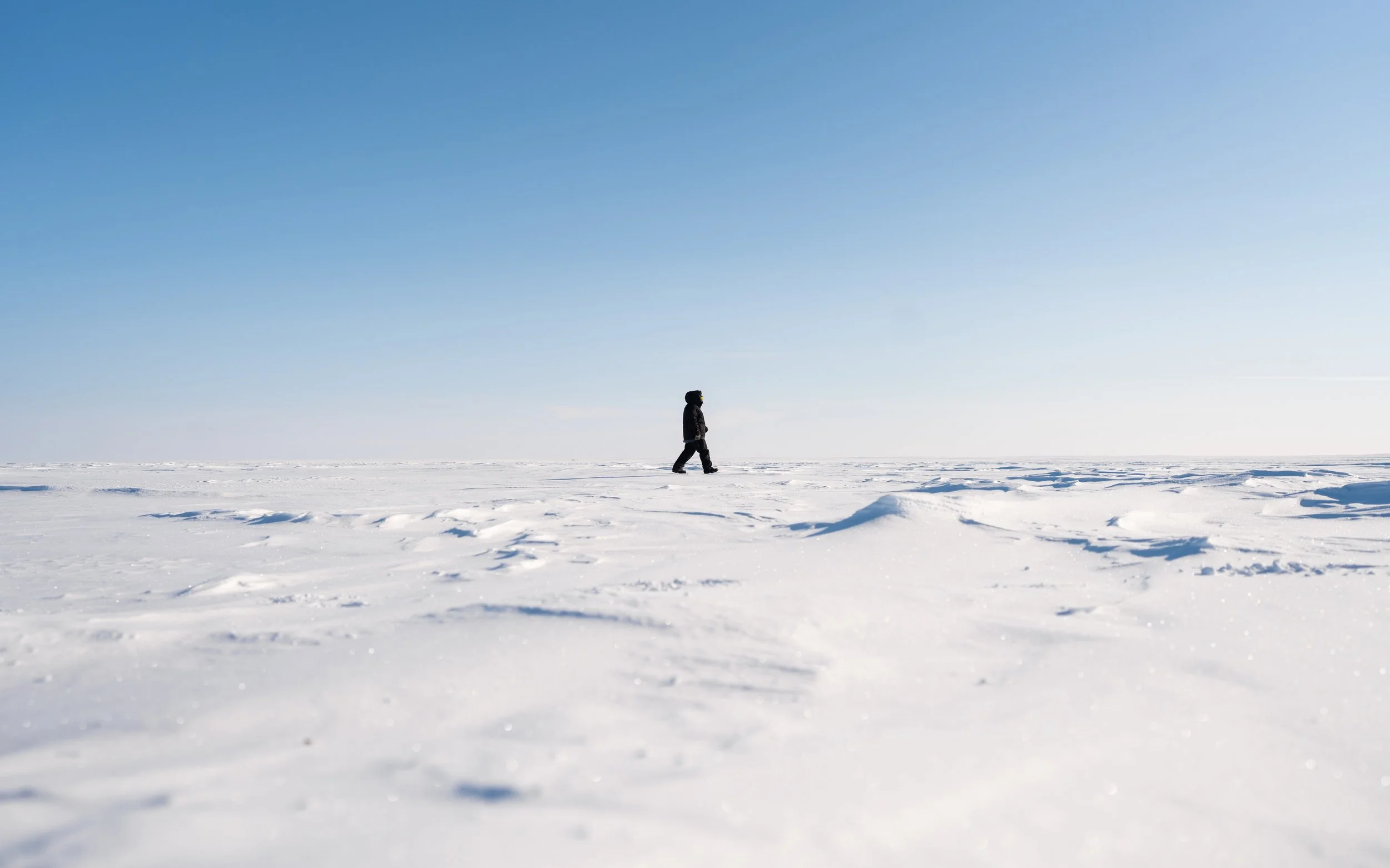 Arctic Trip_2026-12.jpg