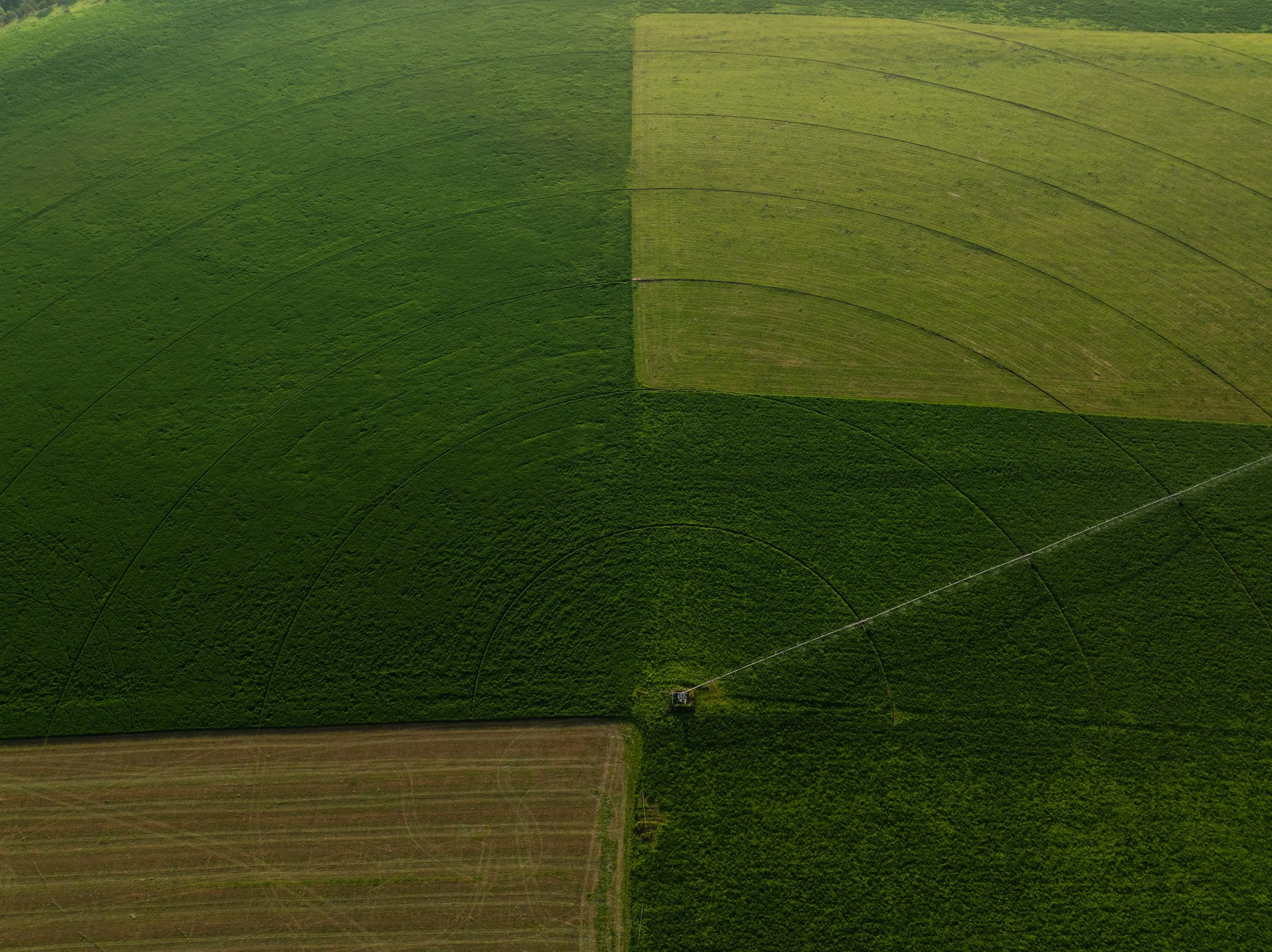 An aerial view of farmland divided into four sections with different crop patterns and colors, with a central tractor spraying a field.