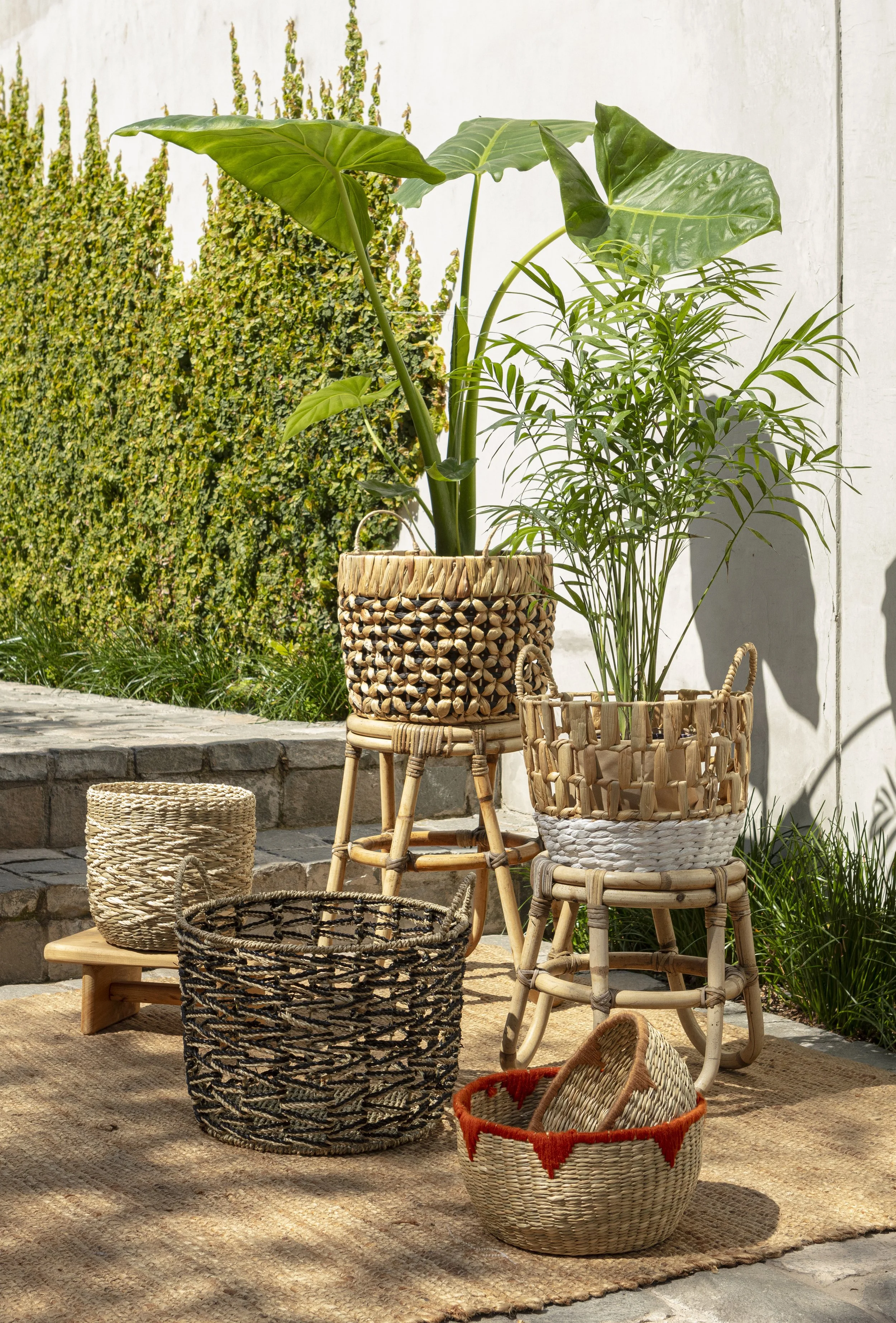 Jumbo Terraza0037-Editar.jpg