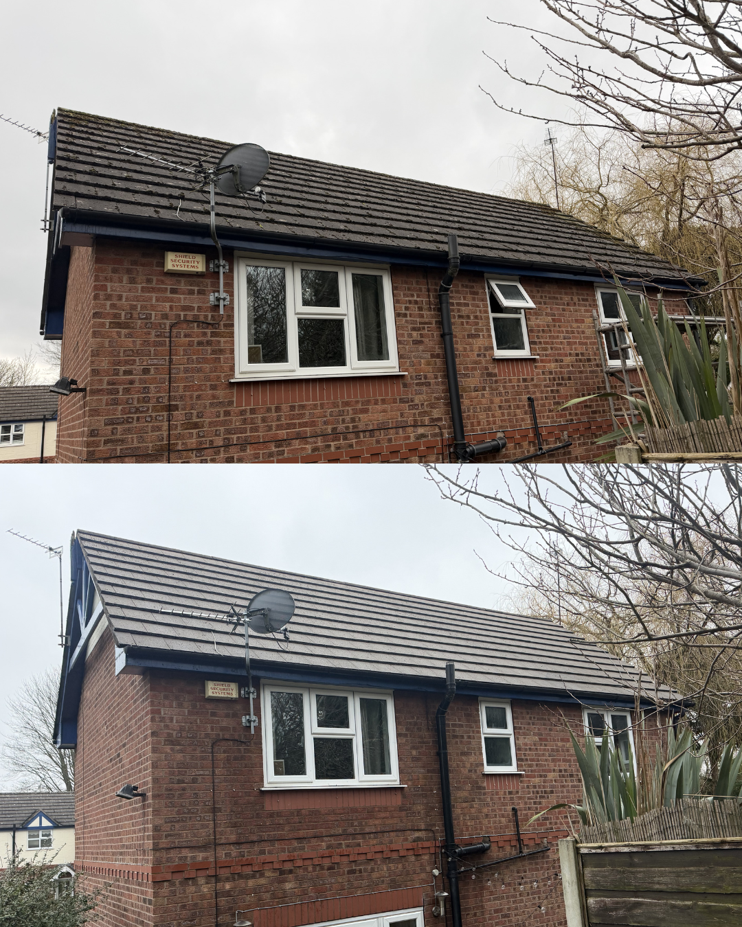 Side view of a brick house with a satellite dish on the roof, new white double-hung windows, and a black gutter system, with a cloudy sky and leafless trees in the background.