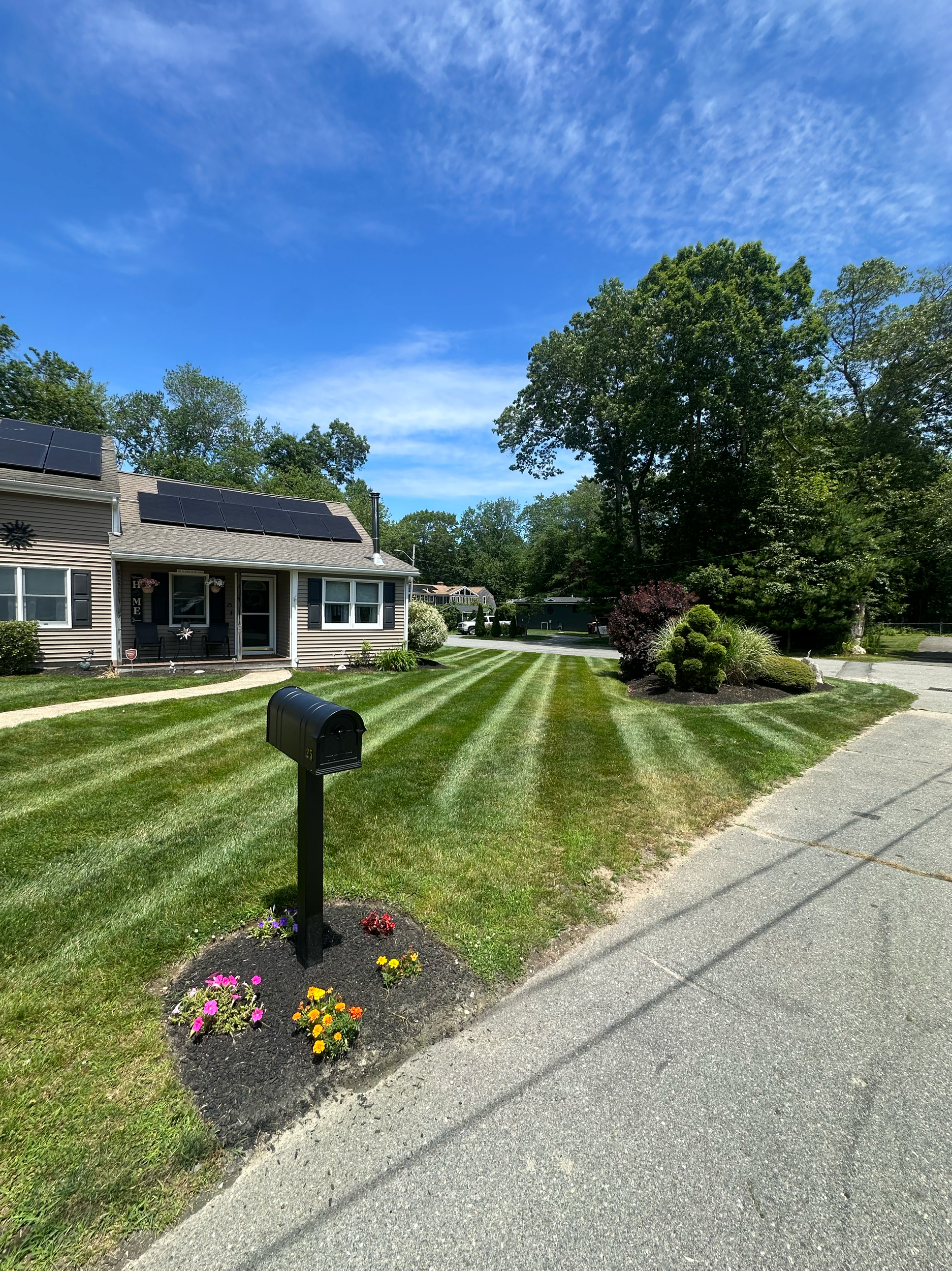 BI-WEEKLY GRASS CUTS