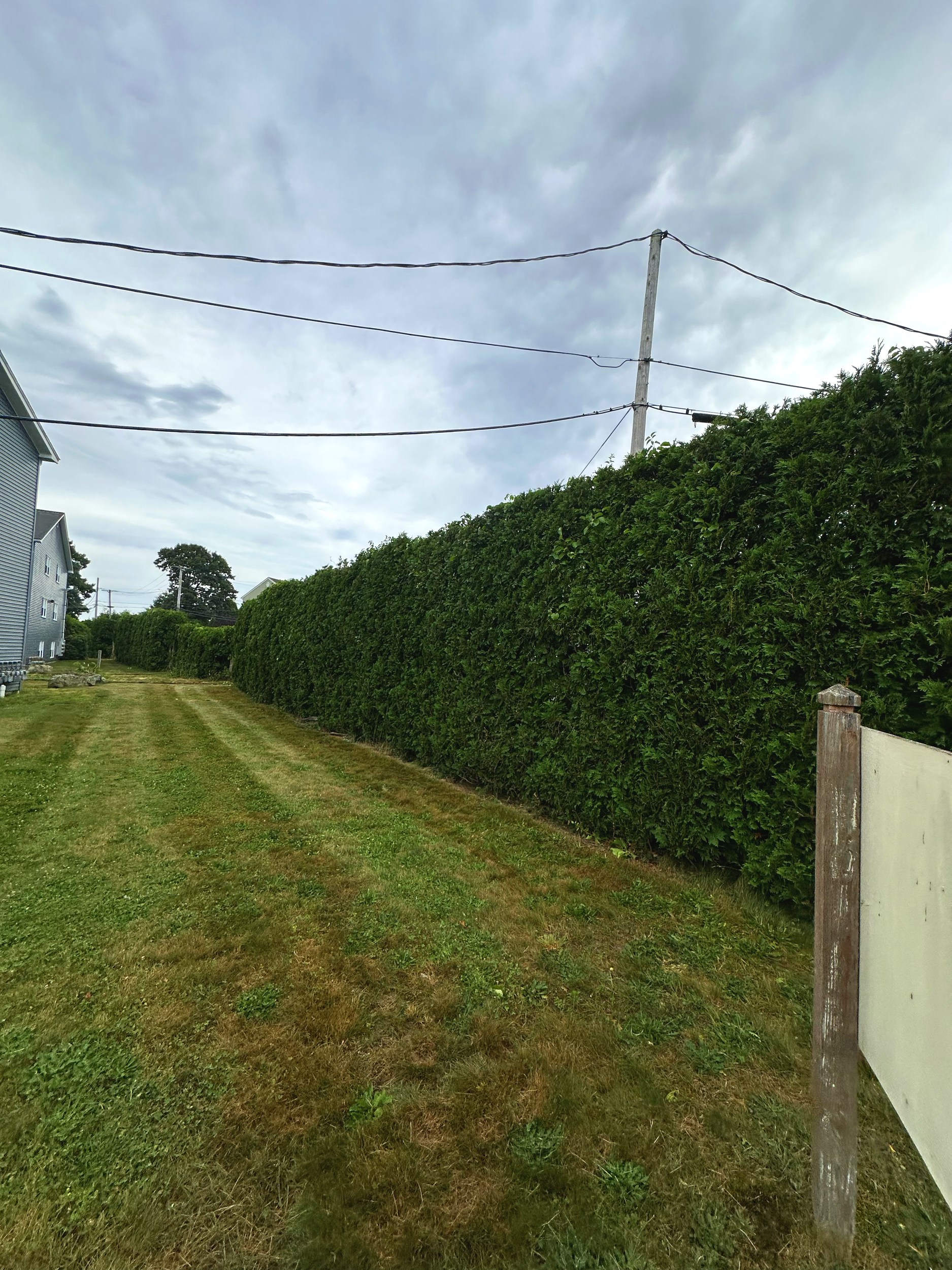 TRIMMING
