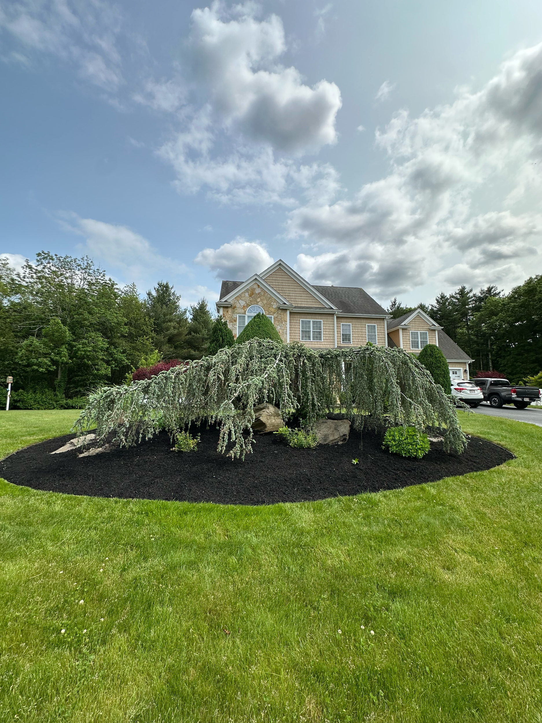 MULCH