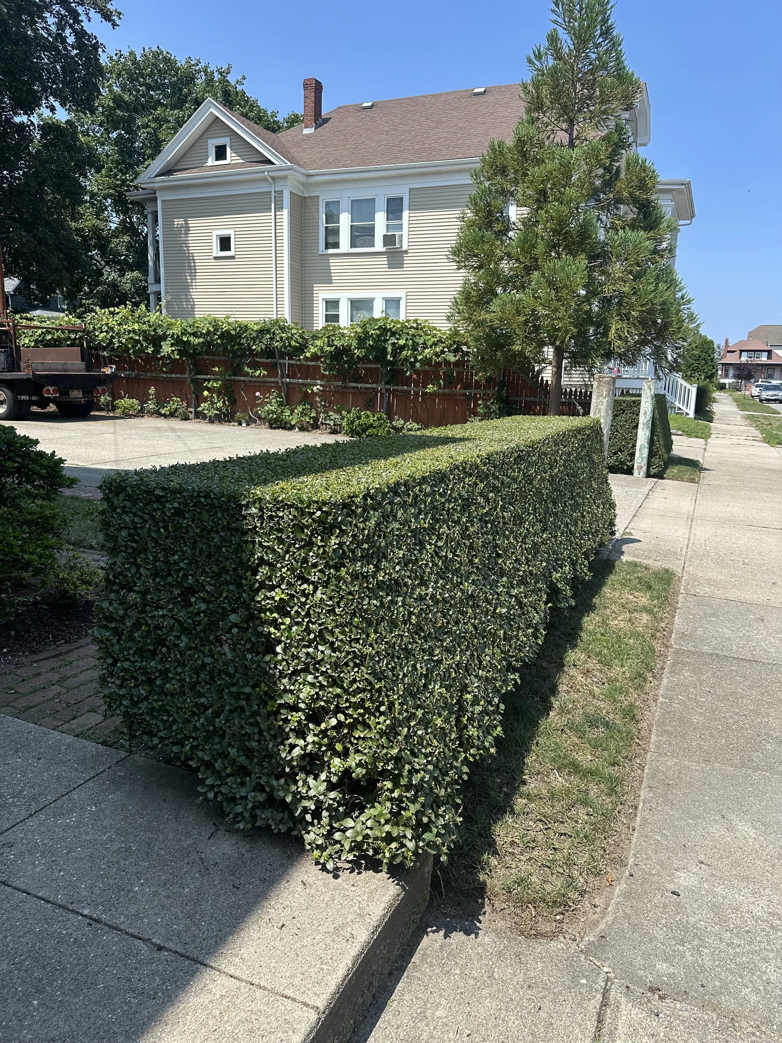 TRIMMING