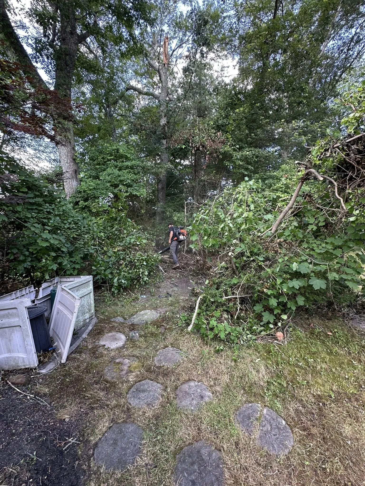 HARD CLEANUPS