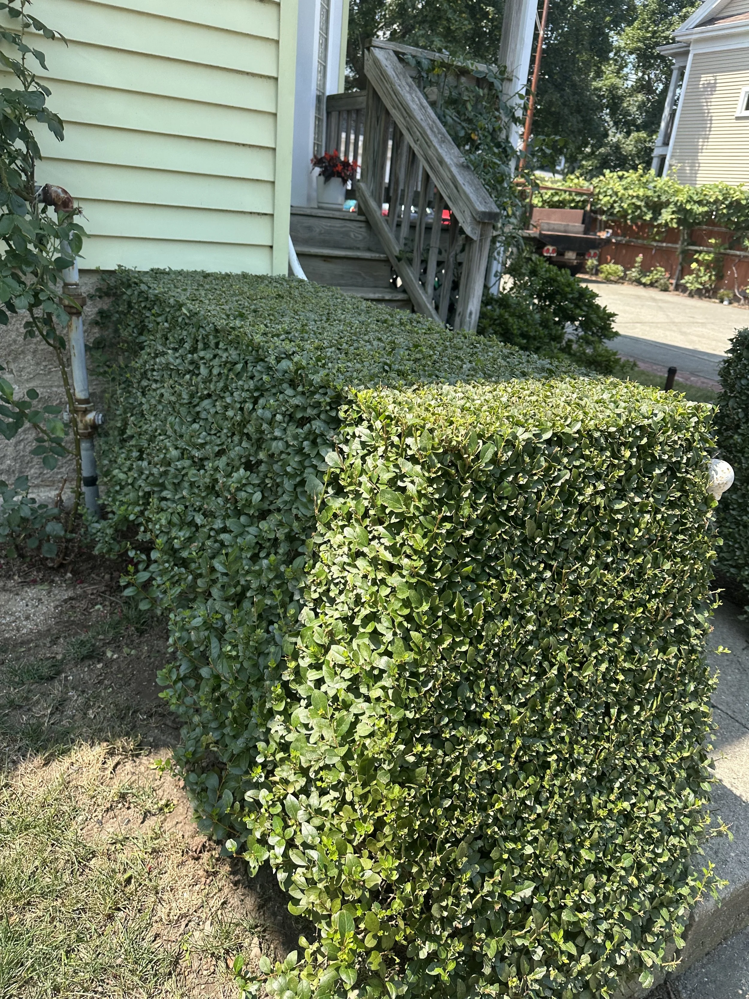 TRIMMING