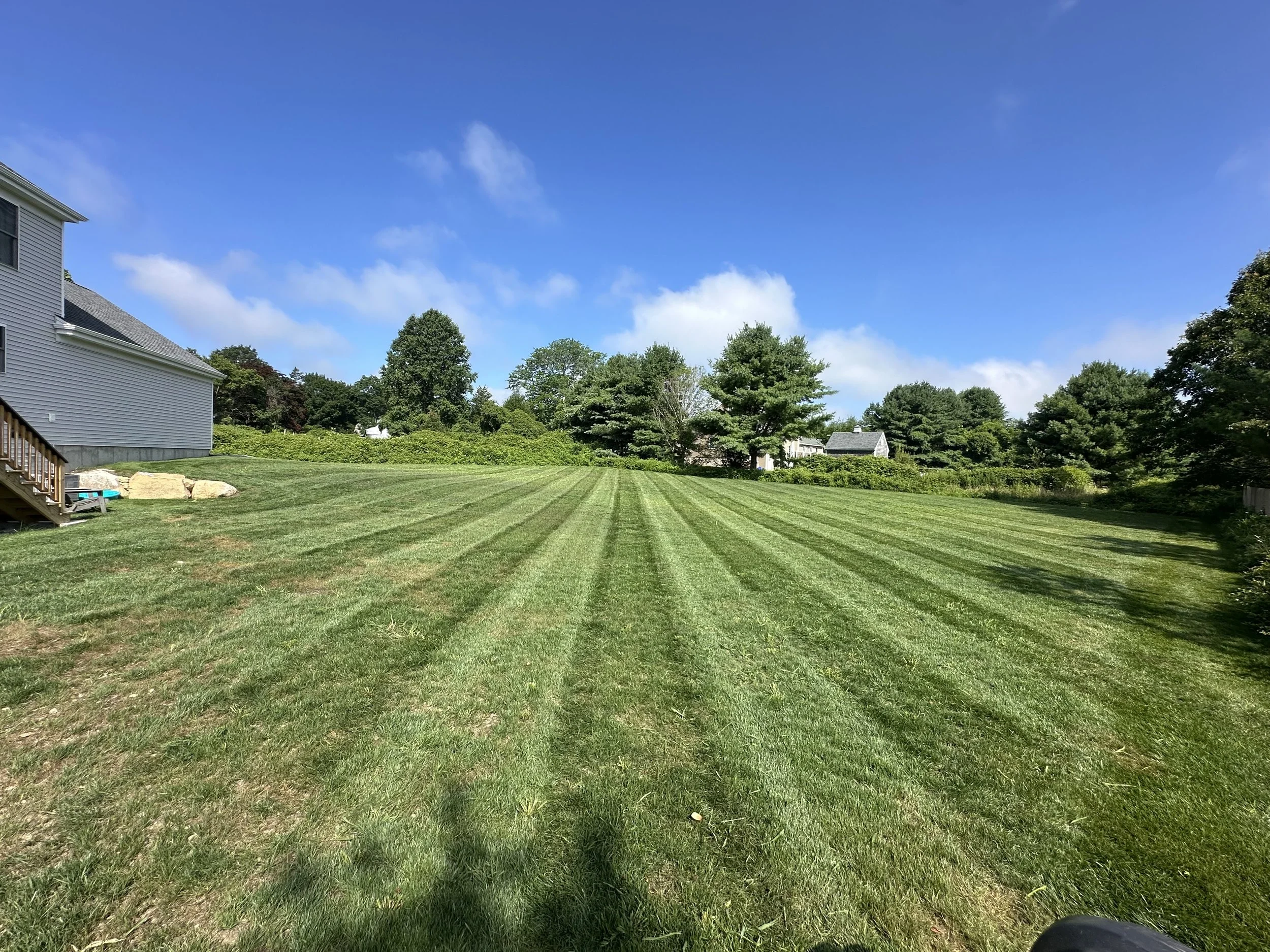 BI-WEEKLY GRASS CUTS