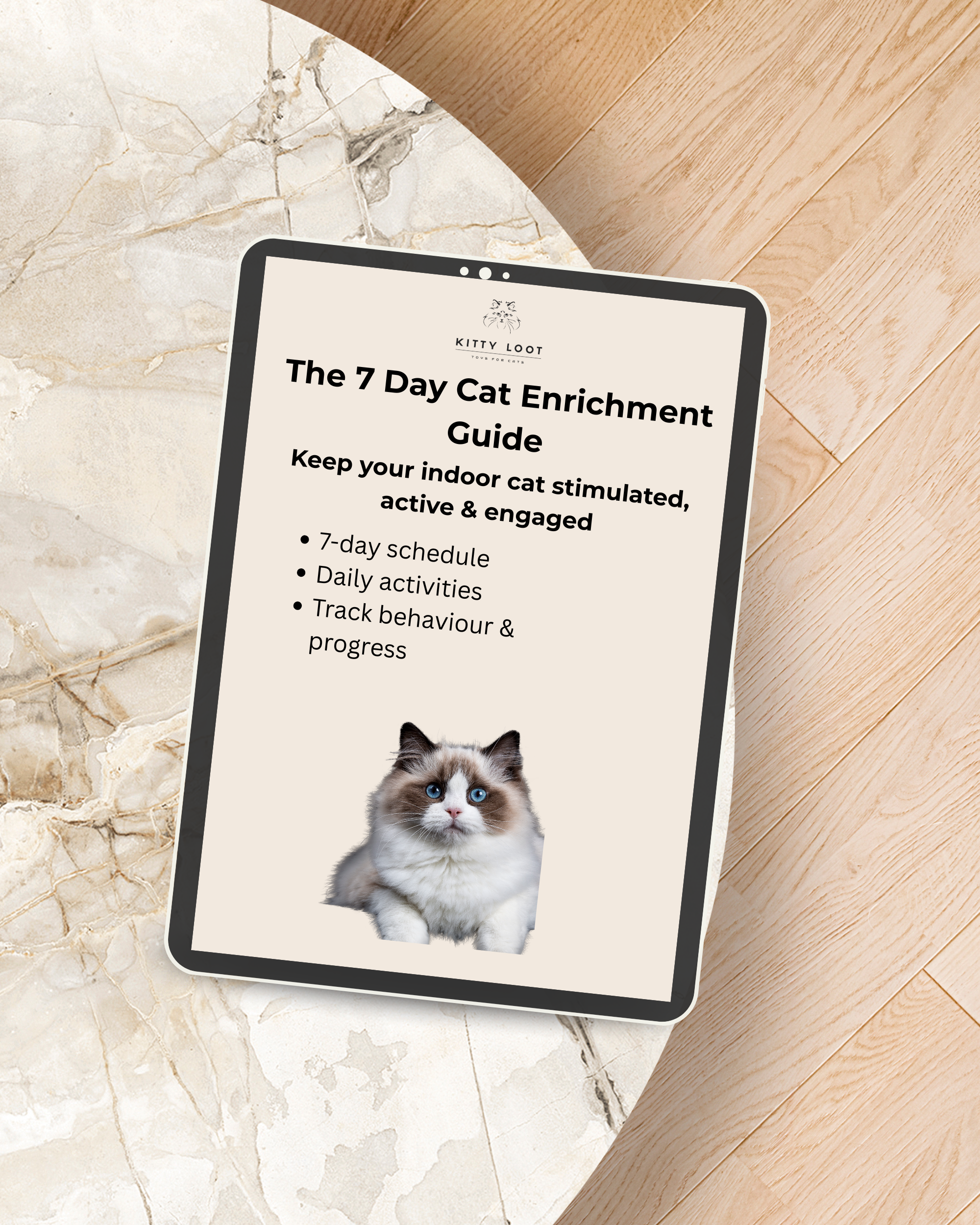 The 7 Day Cat Enrichment Guide