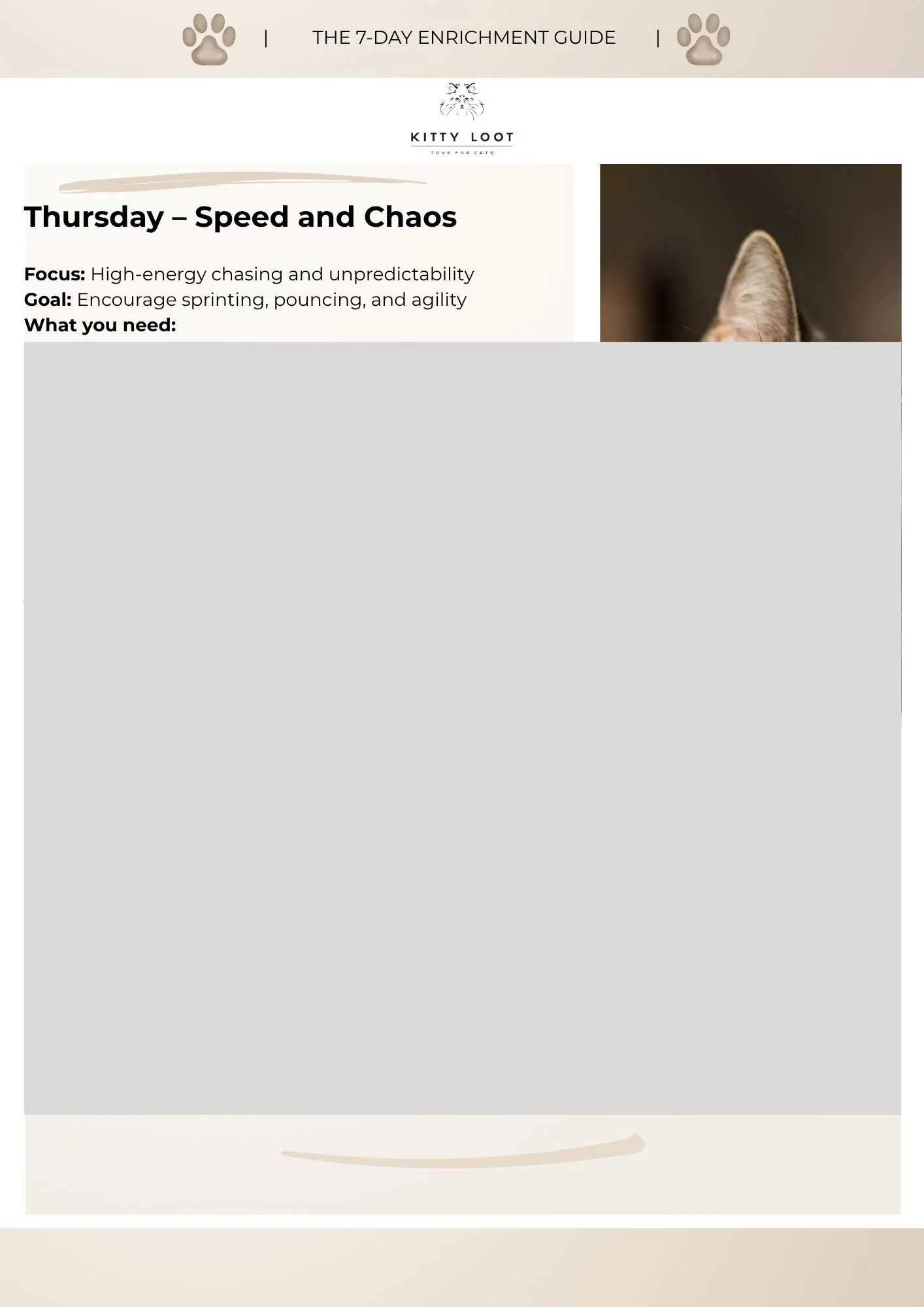 The 7 day cat enrichment guide (1).jpg
