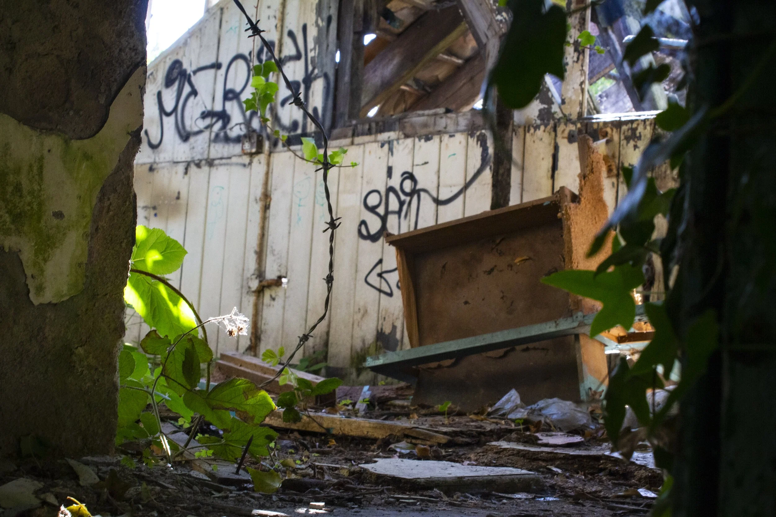 An abandoned, overgrown space with a wooden door covered in graffiti, debris on the ground, and green plants and vines growing inside and around. Sunlight filters through gaps, illuminating parts of the scene.
