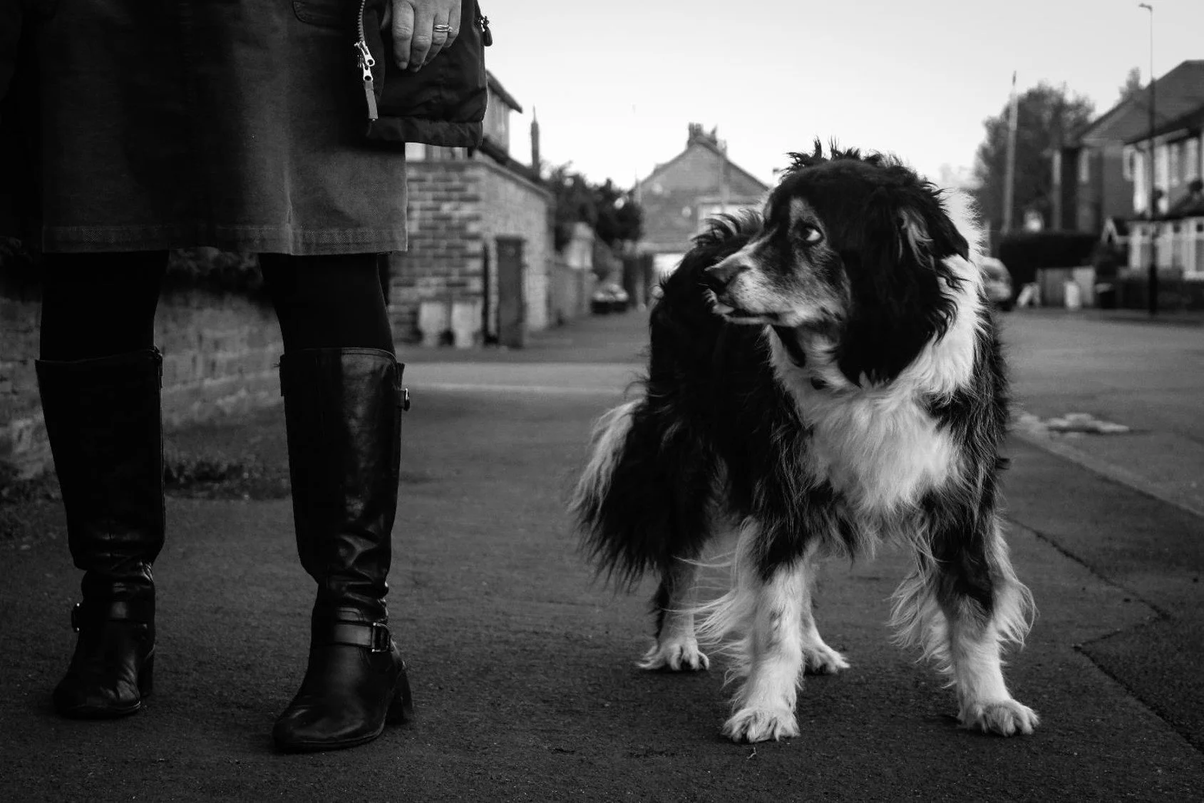 A woman standing on a sidewalk with her dog. The woman is wearing a coat, dress, tights, and knee-high boots. The dog, a long-haired breed, looks up at the woman. The scene is in a neighborhood with houses in the background.