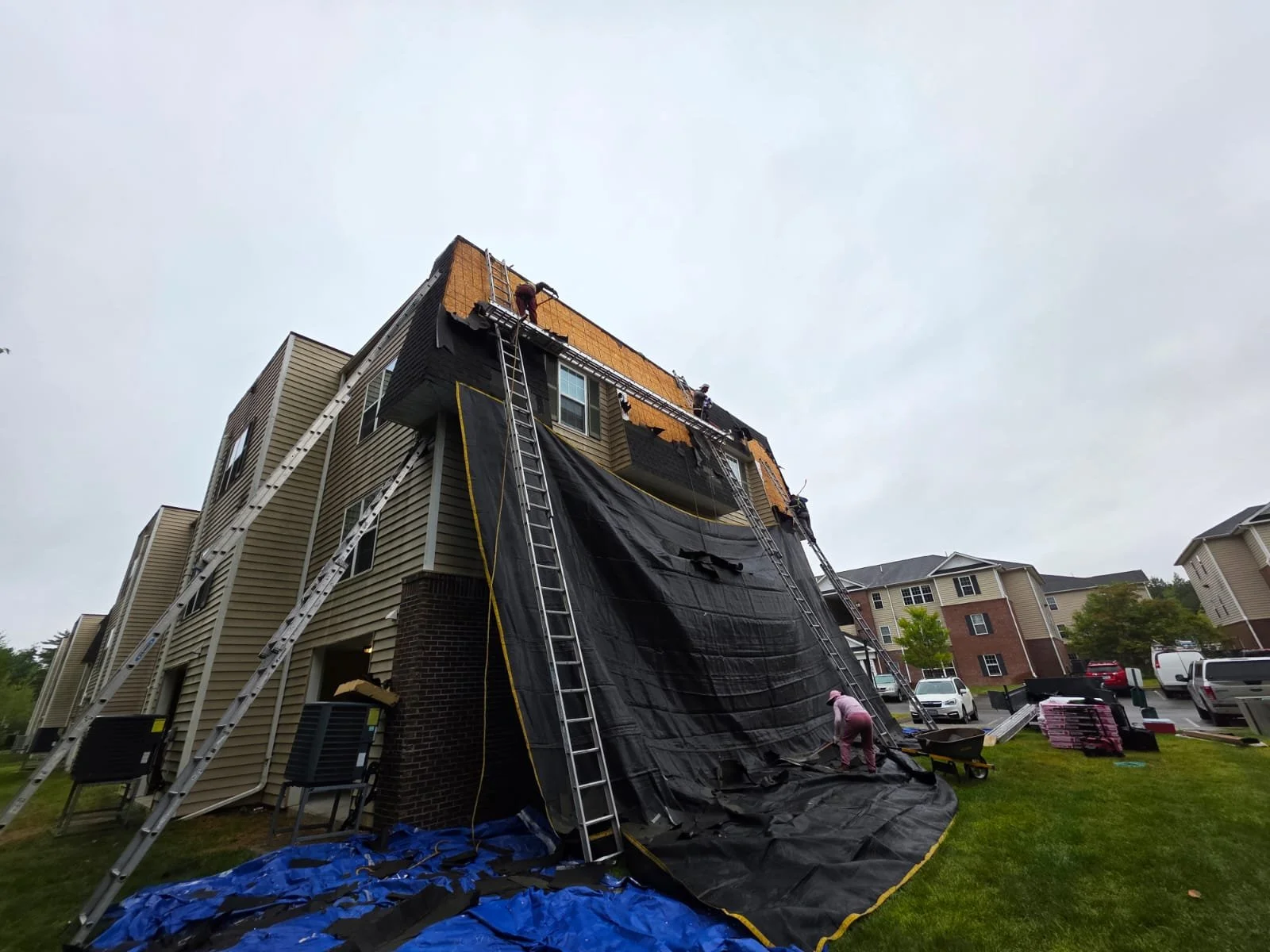 WhatsApp Image 2025-08-25 at 9.13.55 AM.jpeg