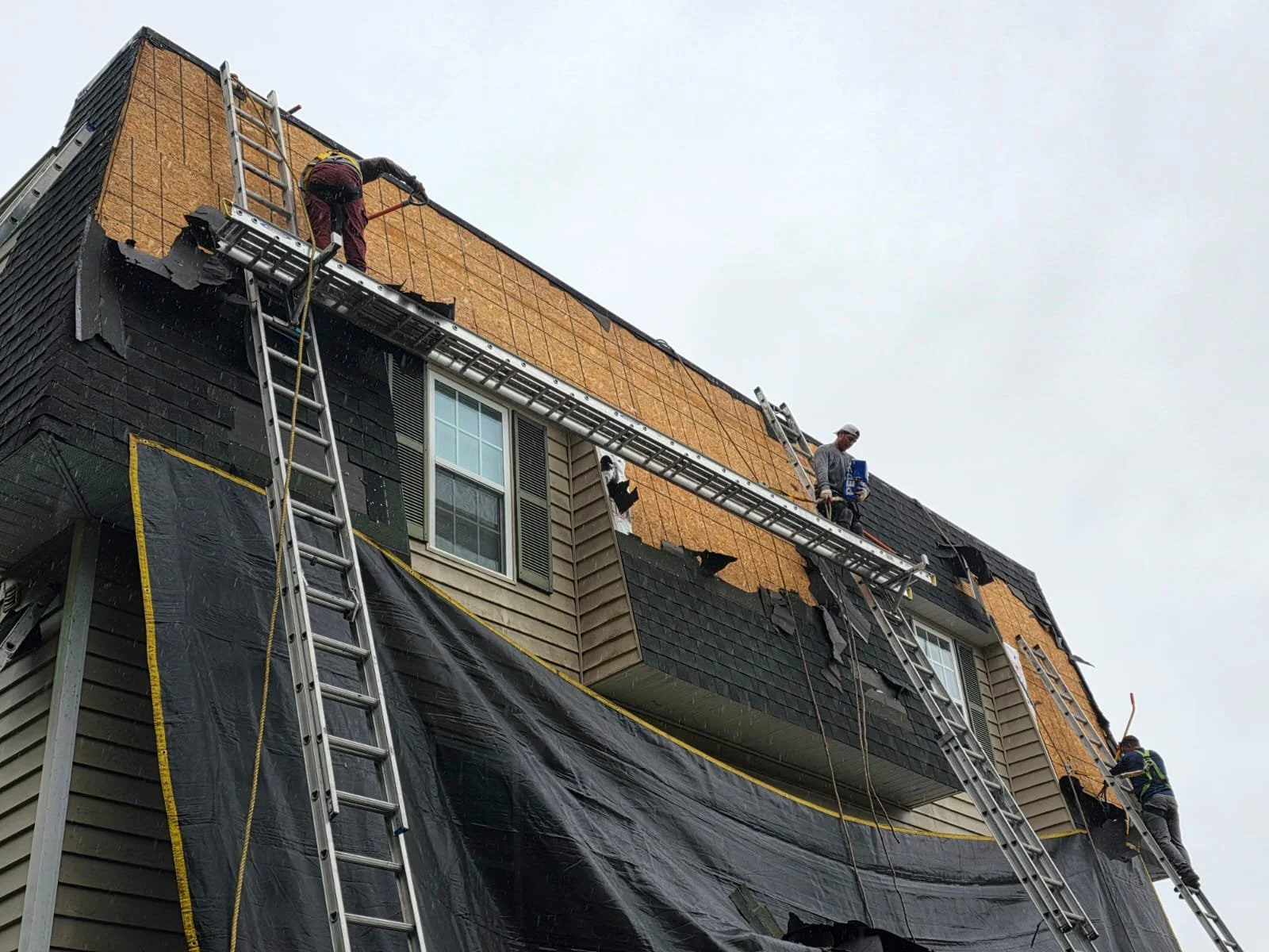 WhatsApp Image 2025-08-25 at 9.13.55 AM (1).jpeg