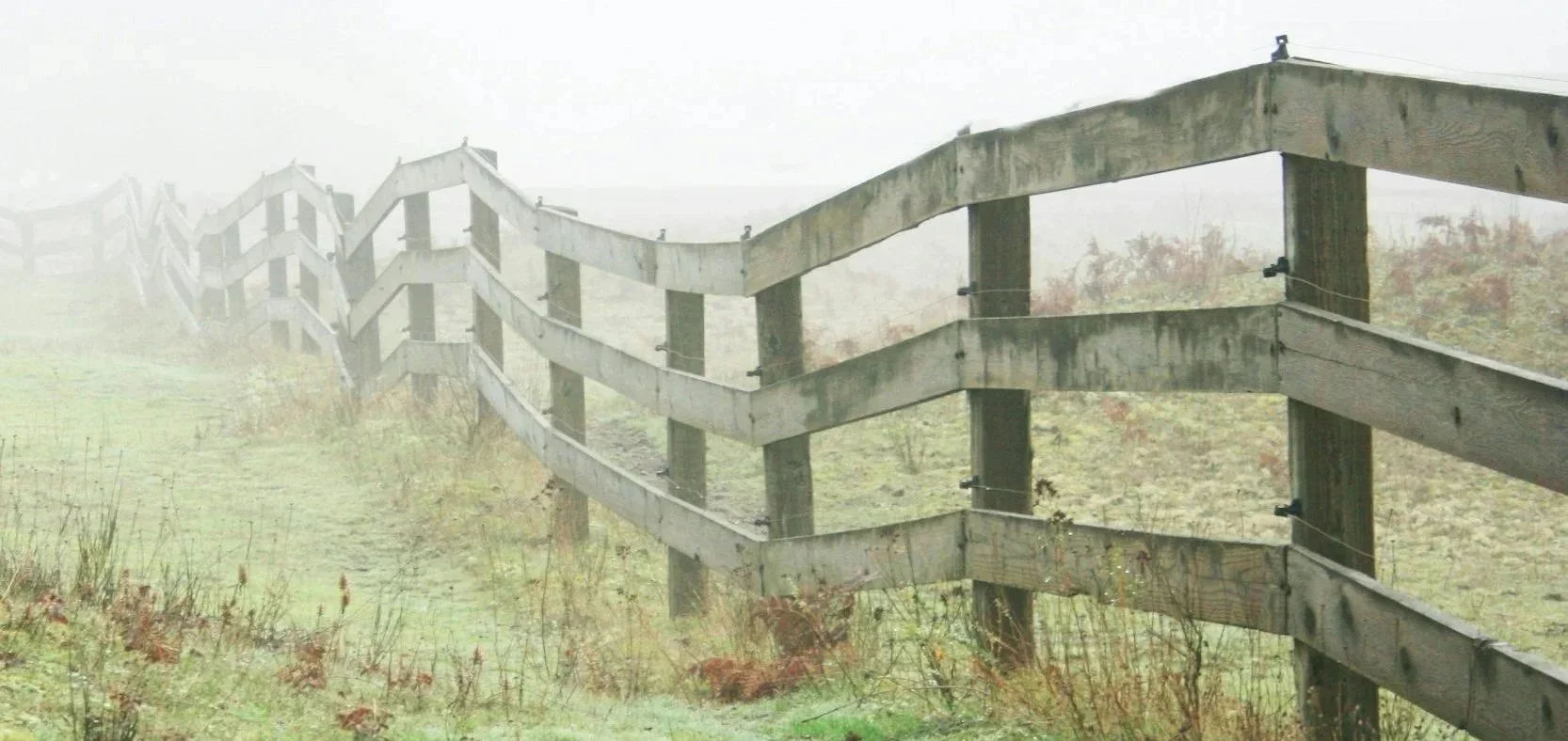 A fence stretches across a foggy field and represents a boundary. The foggy, bleak atmosphere represents the emptiness of feeling burned out.