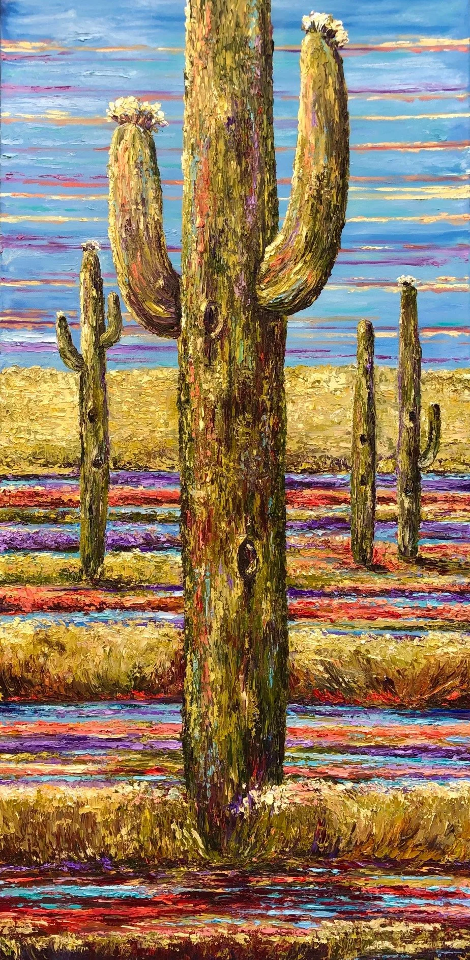 Saguaros in the Spring $2550 48X24