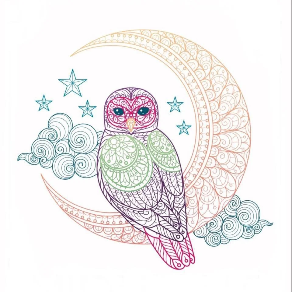 IMG_6414 - Suzanne Pfister.jpeg