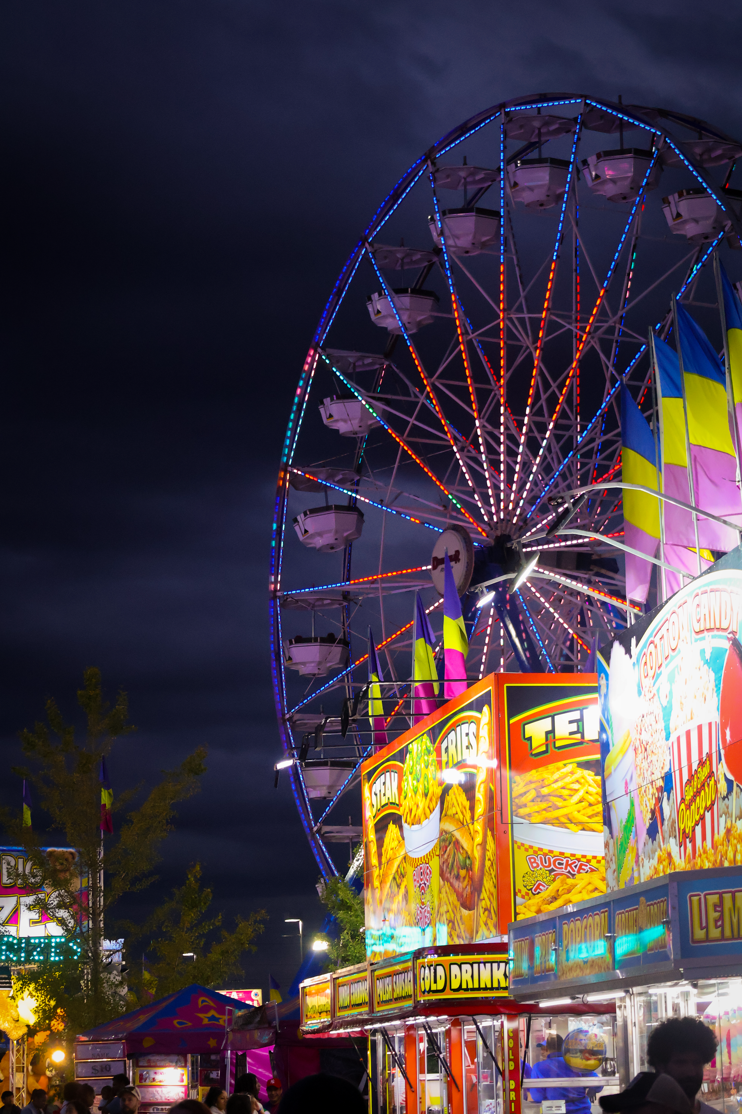 fair 2.png