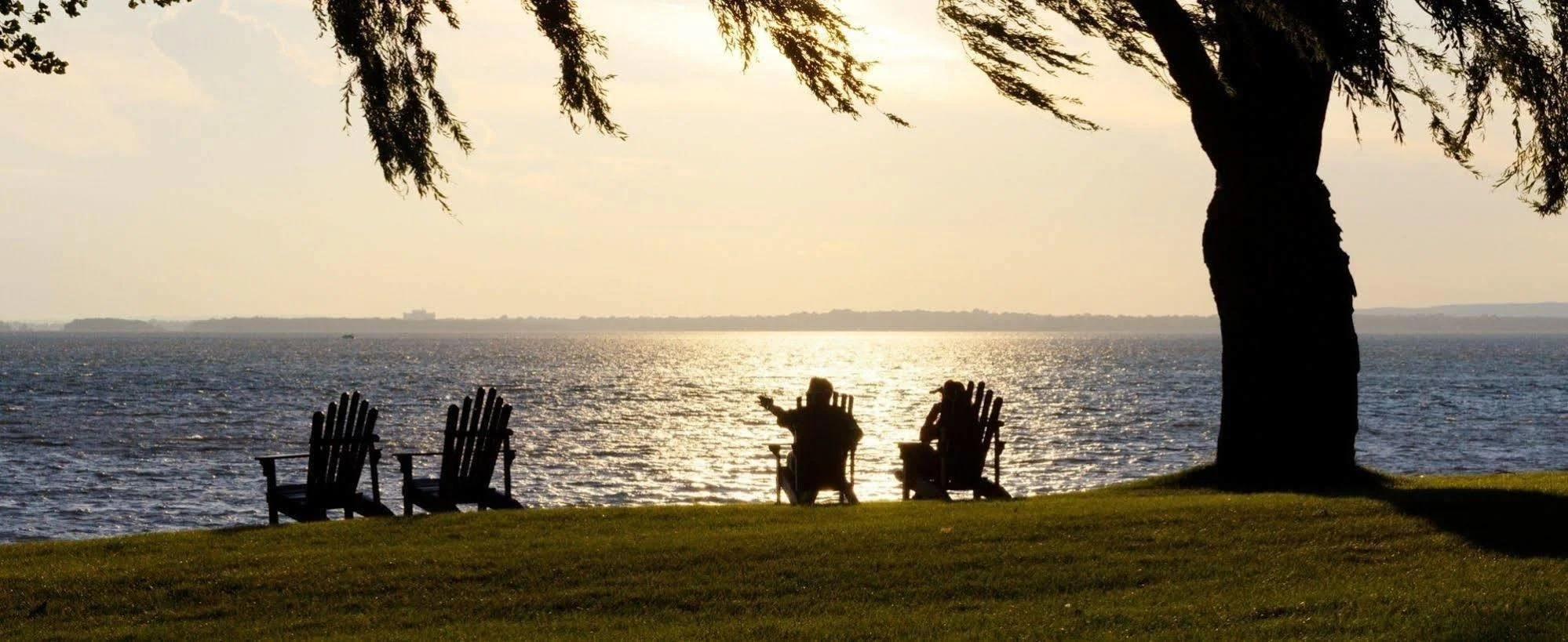 Deux personnes assises sur des chaises près d'un arbre, regardant la mer au coucher du soleil.