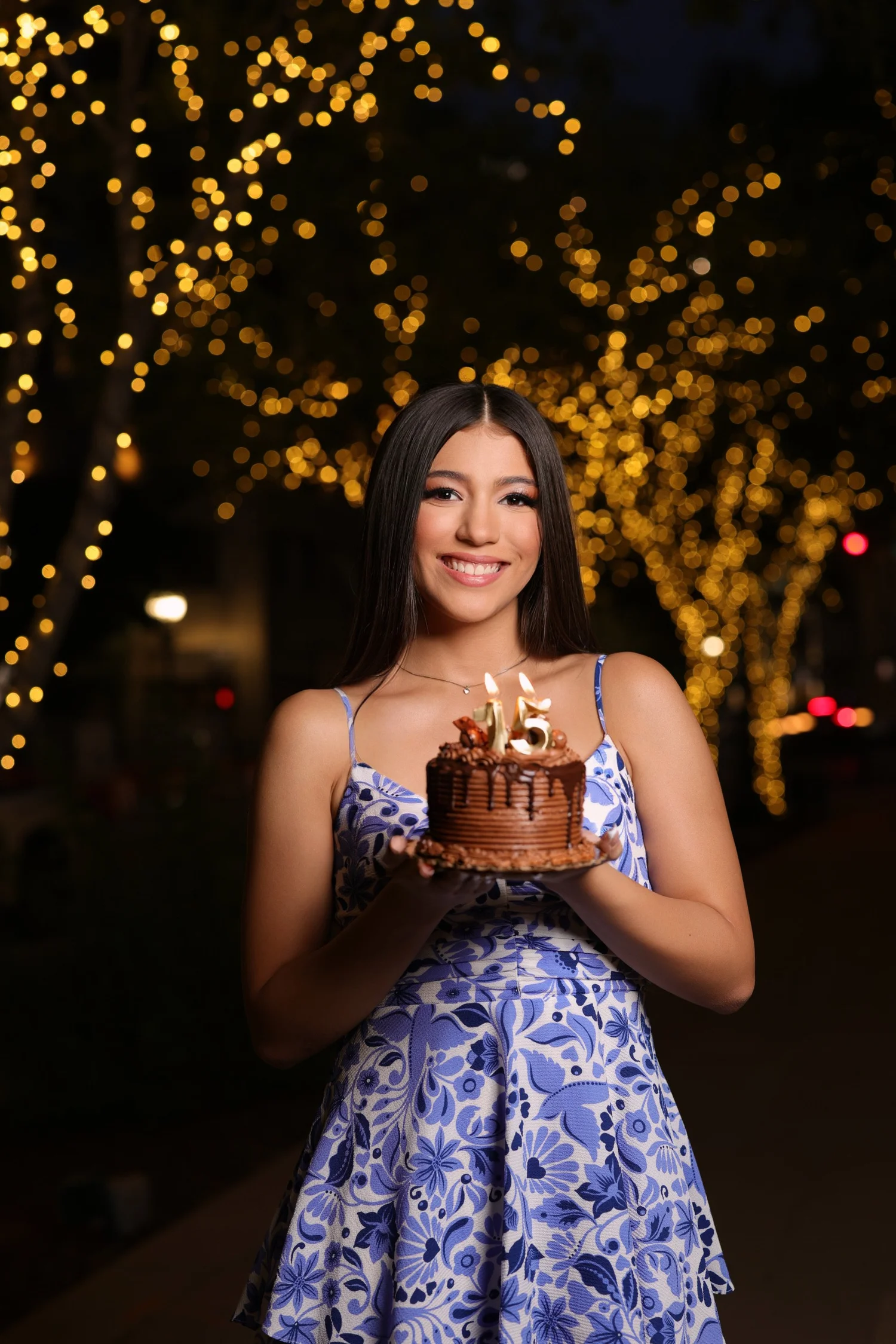 Andrea&#39;s XV Birthday Party!