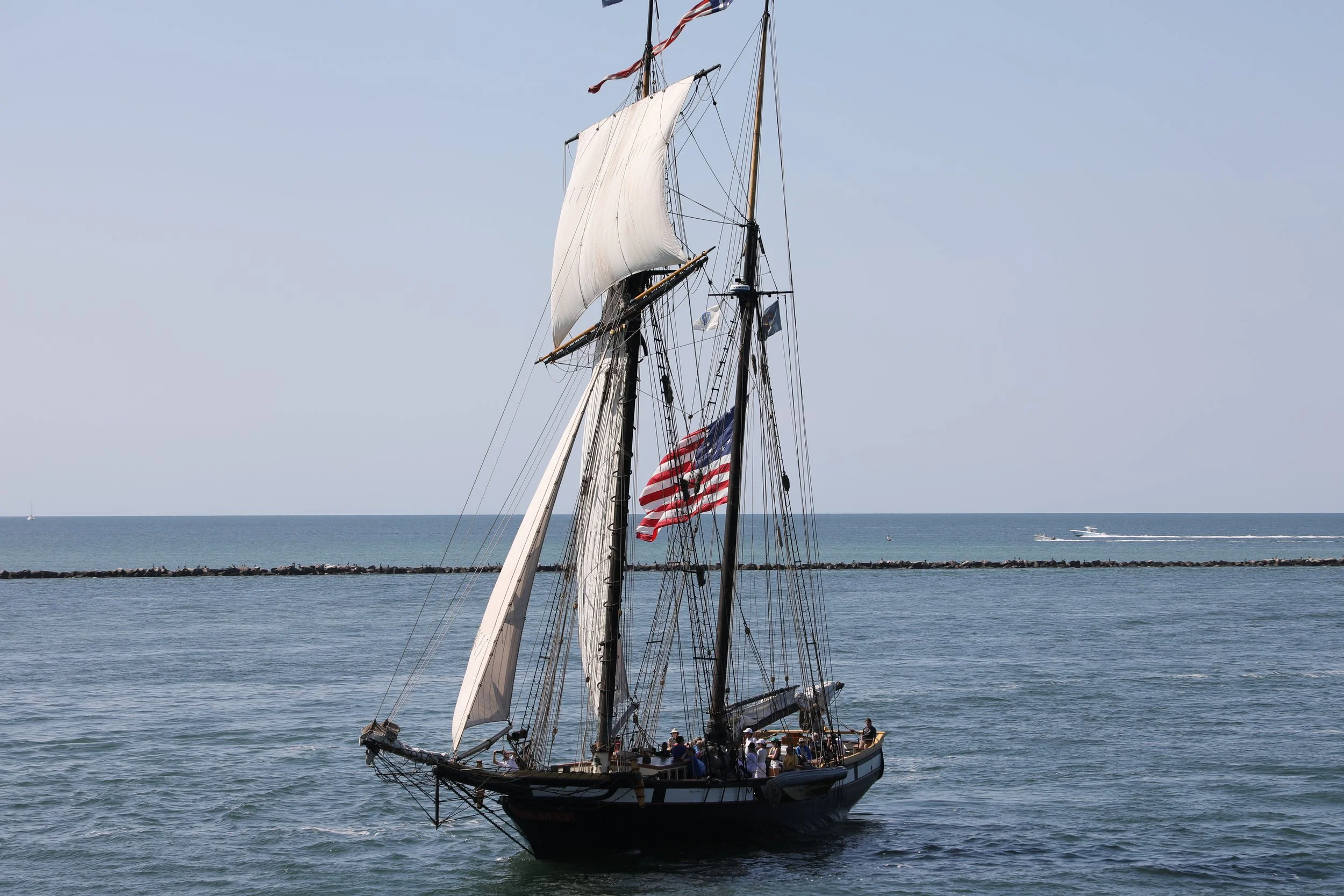 A Pirate's Life for Me, 2025, Available