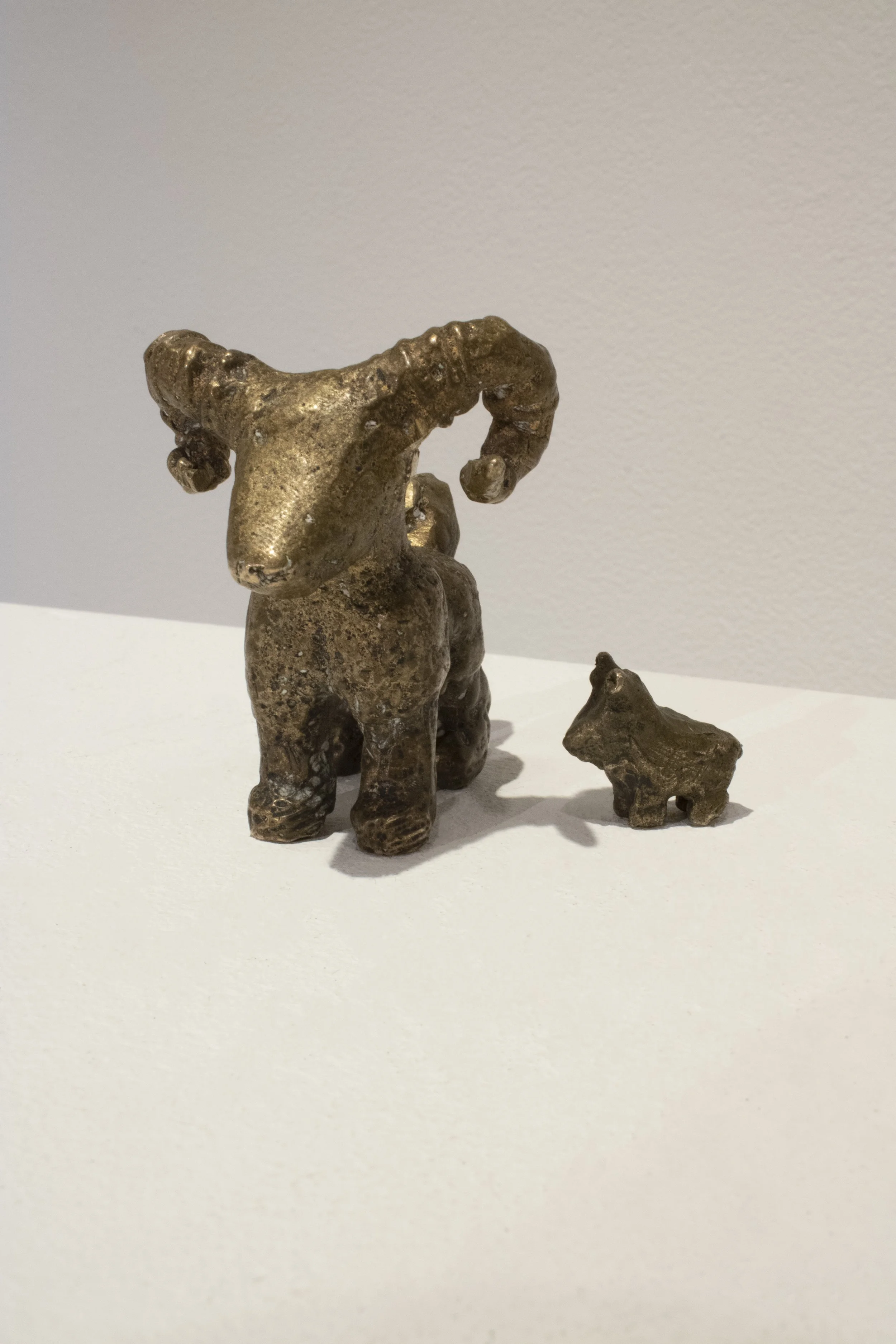 Future Bronze Grazers and Pasture Plants