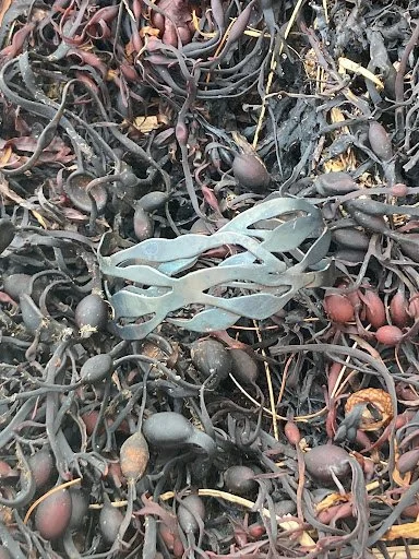 Mild Steel, Heat Patina. 2024