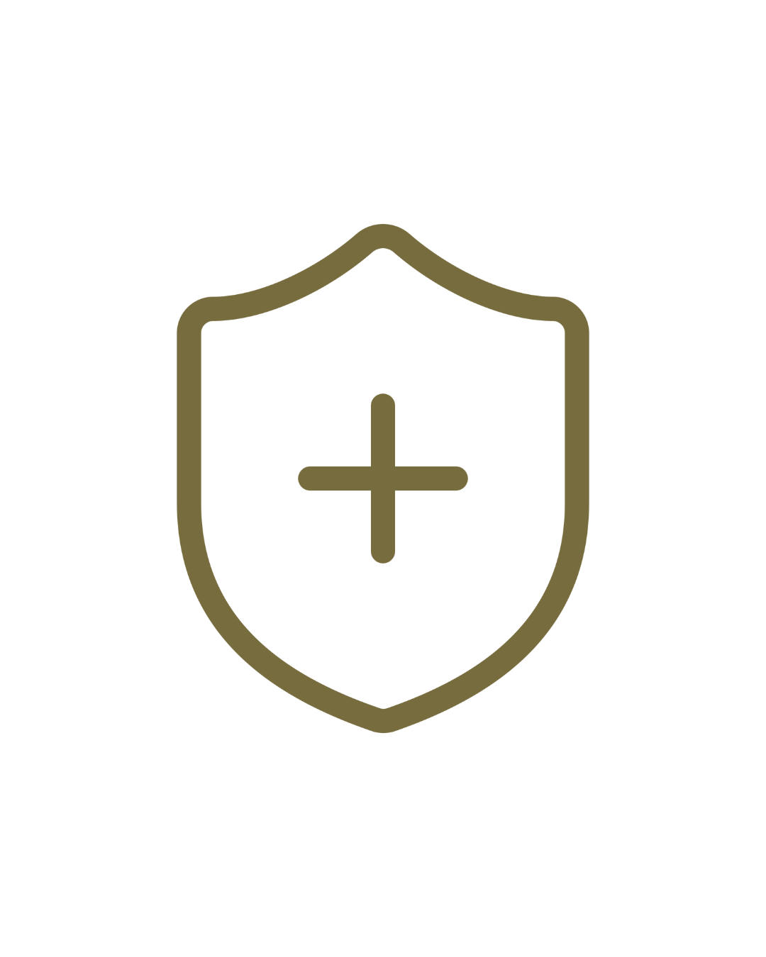 Shield icon with a plus sign in the center, representing health or medical protection.