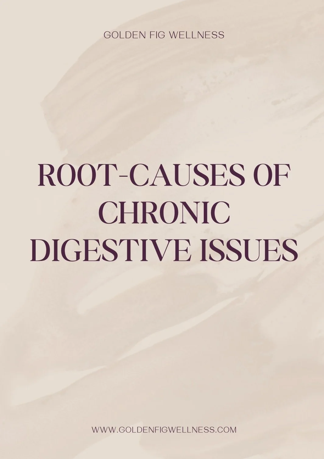 FREE Guide to your Chronic Digestive Issues