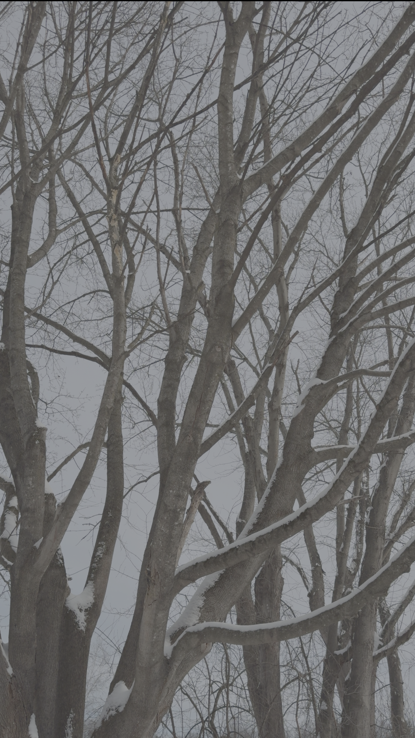 A Season for Listening