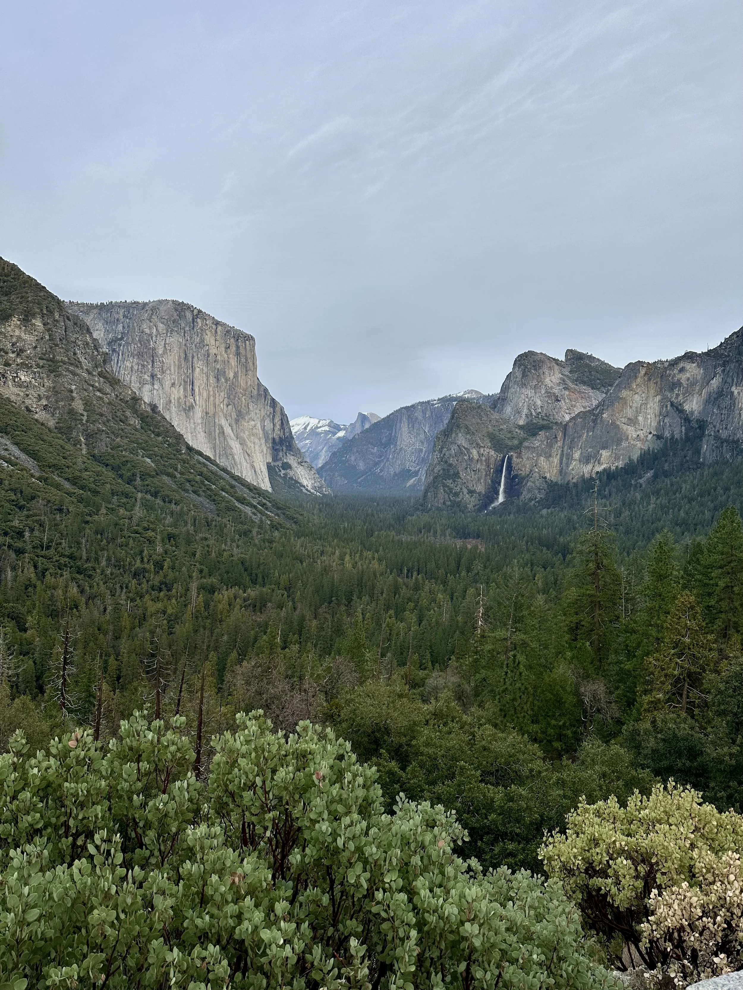 Yosemite is a Batholith