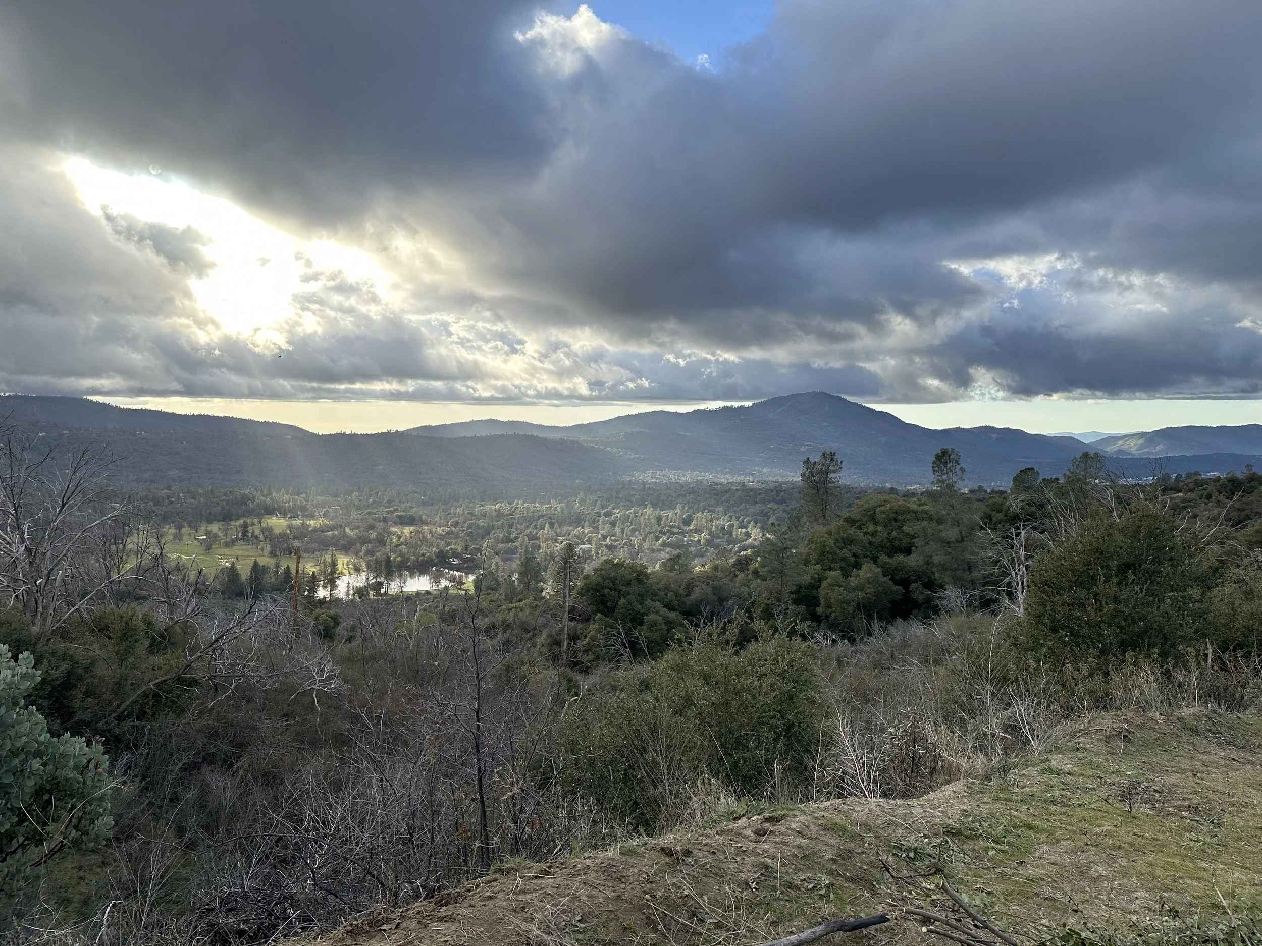 What Do You Optimize For?