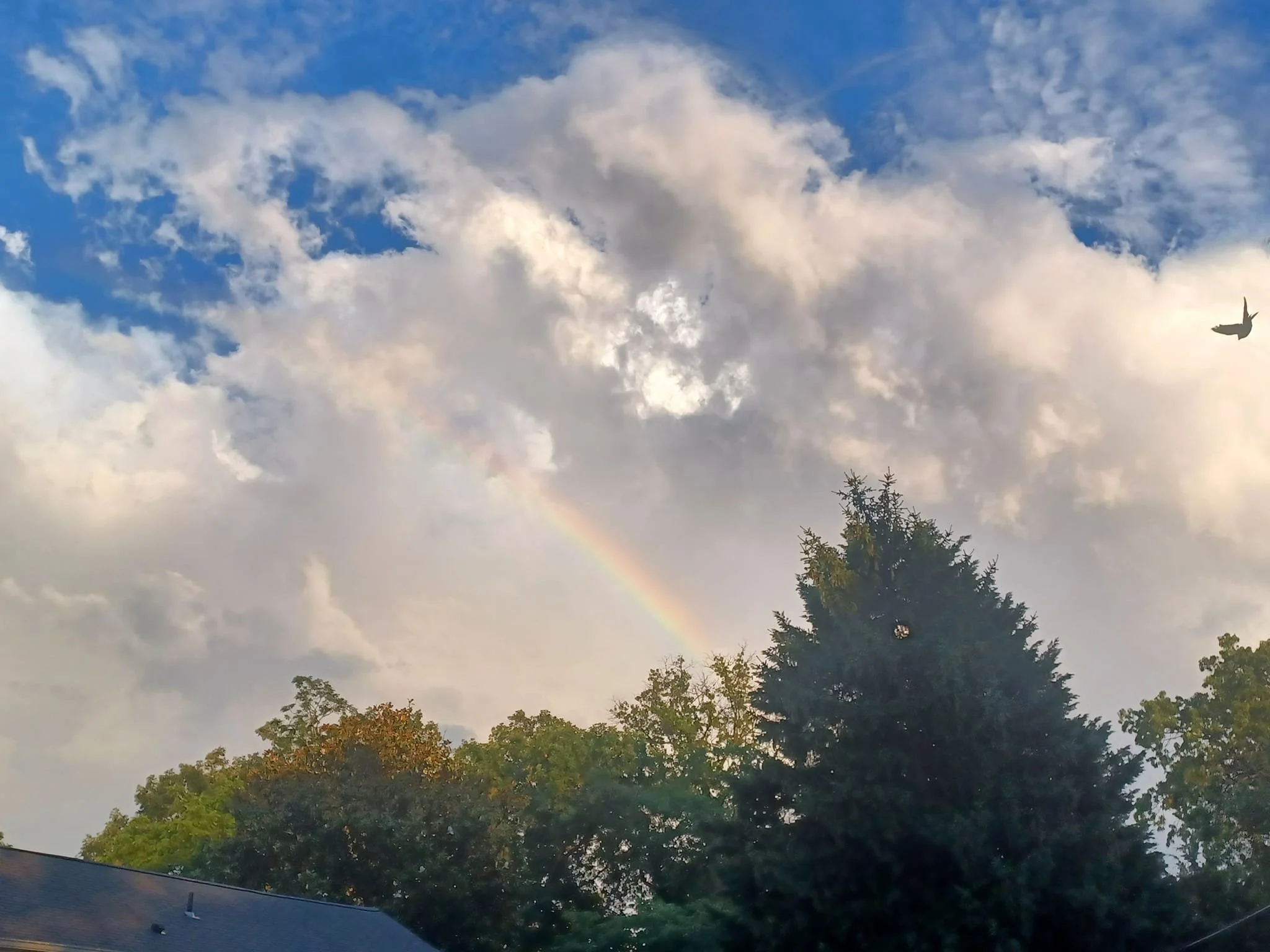 HeartSong IN-PERSON Journey Group - May 2