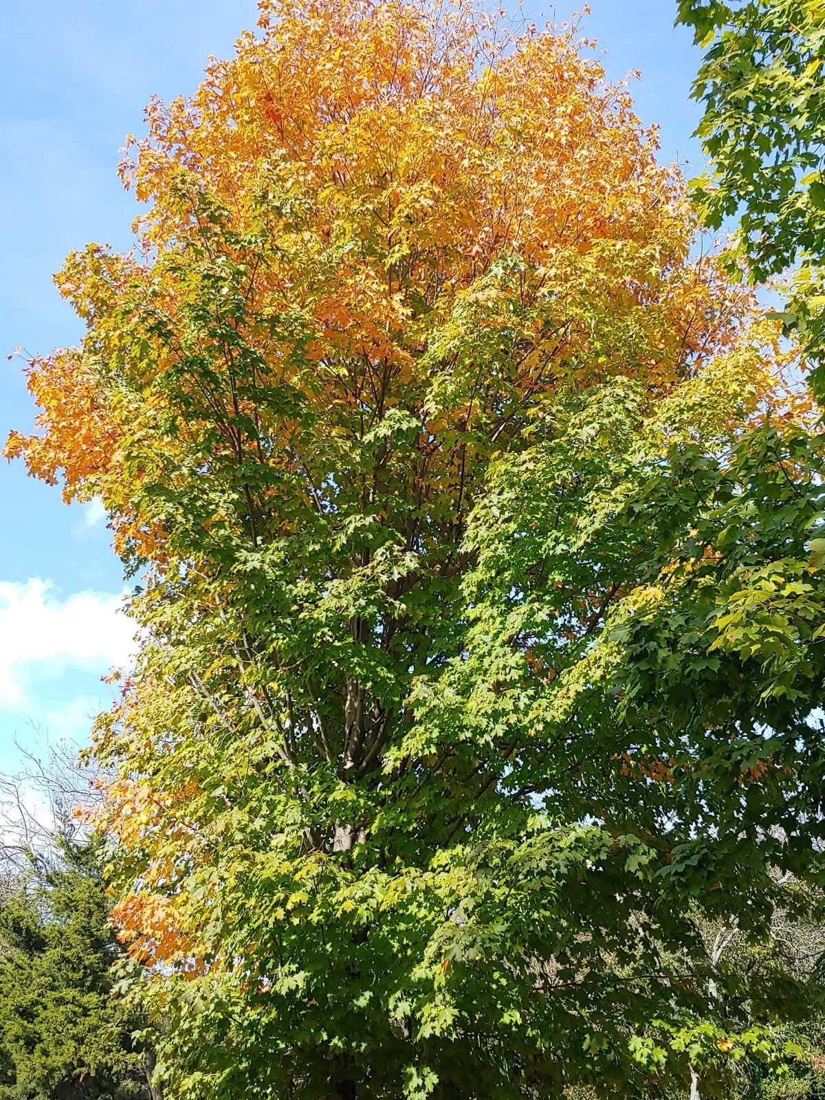 HeartSong - IN-PERSON Journey Group - October 18