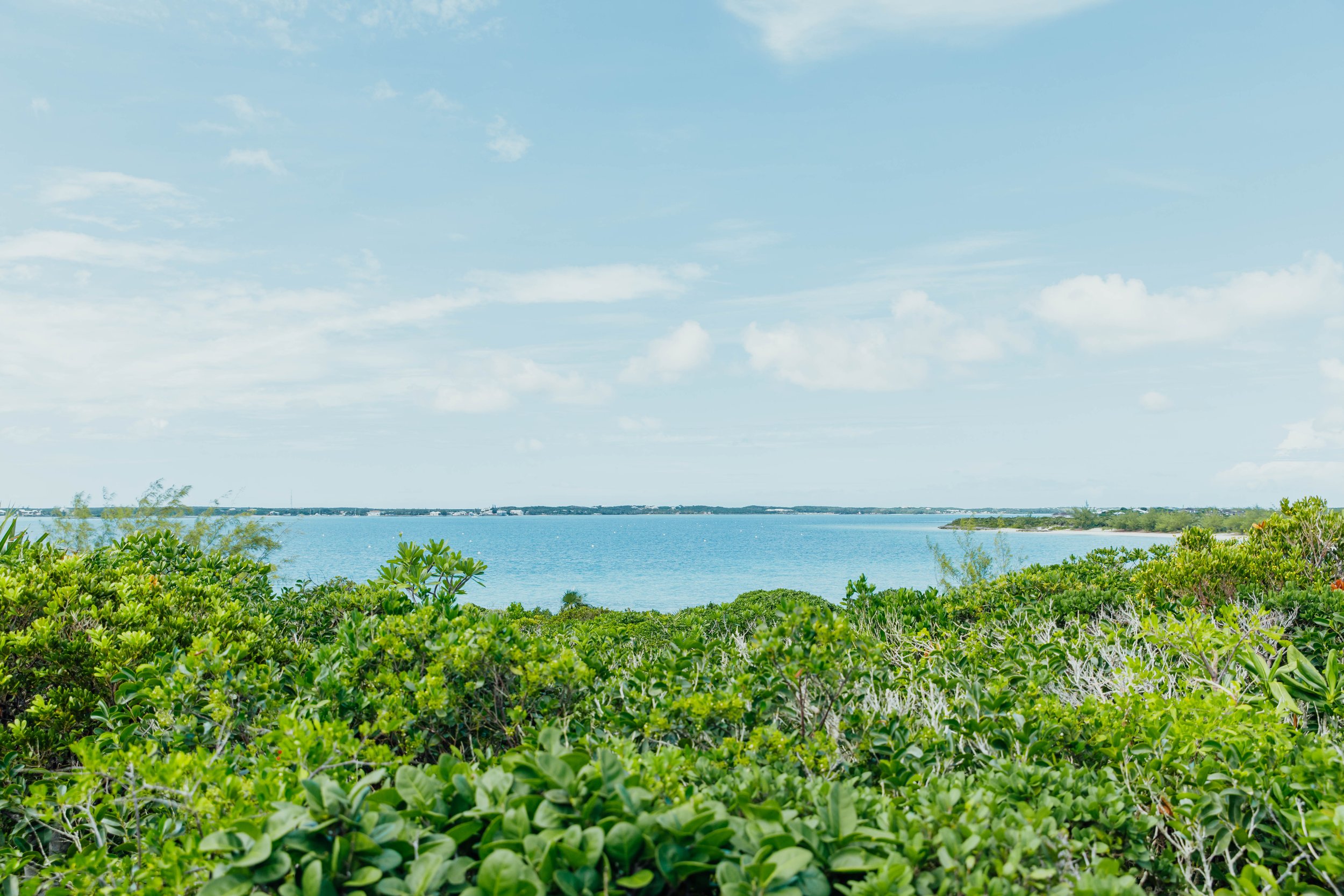 bahamas copy.jpg