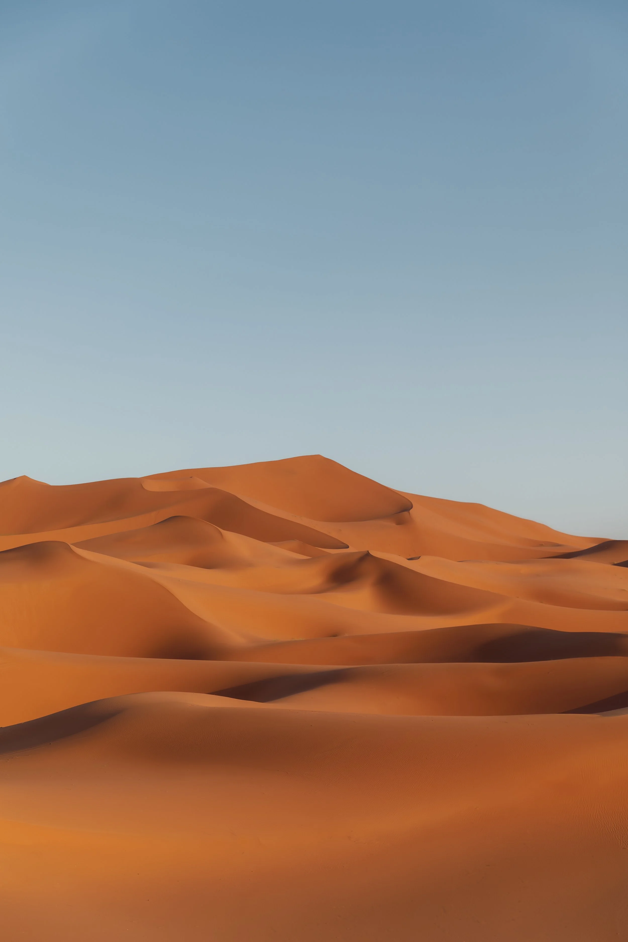 sahara sand 2.jpg