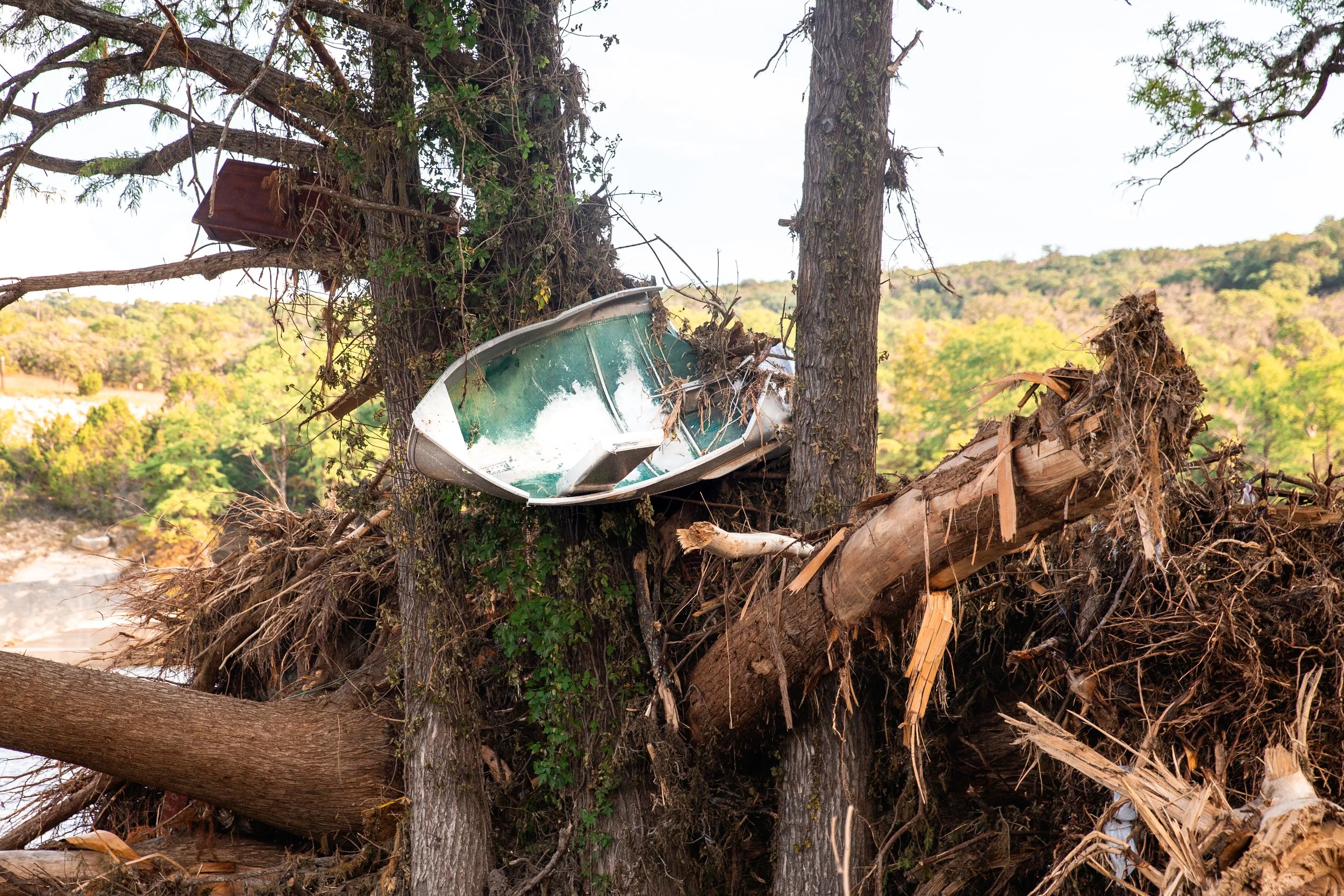 A riverbank with debris from a fallen tree, including an upended boat entangled among the branches, with hills and trees in the background.