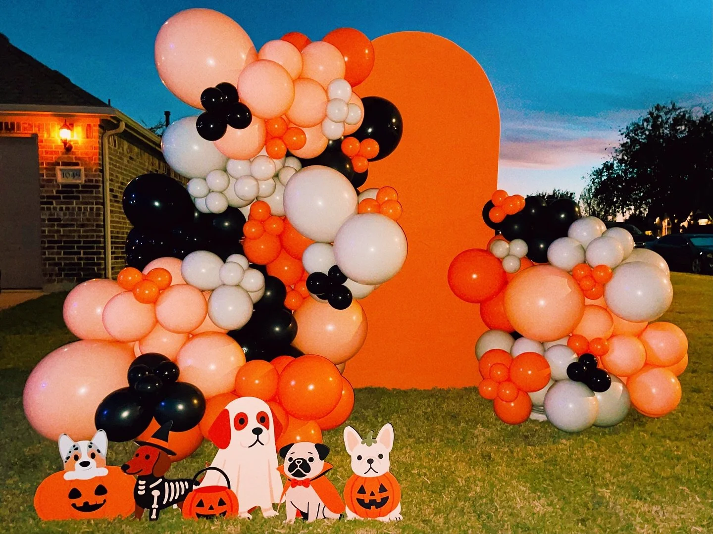 Happy Halloweenie! 🎃🐶 This one&rsquo;s for the dogs!