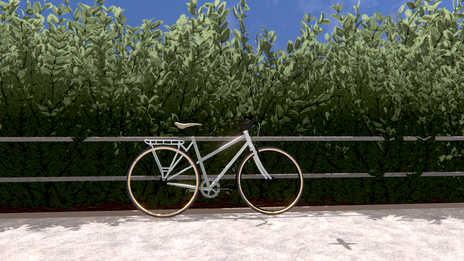 Bush &amp; Bike