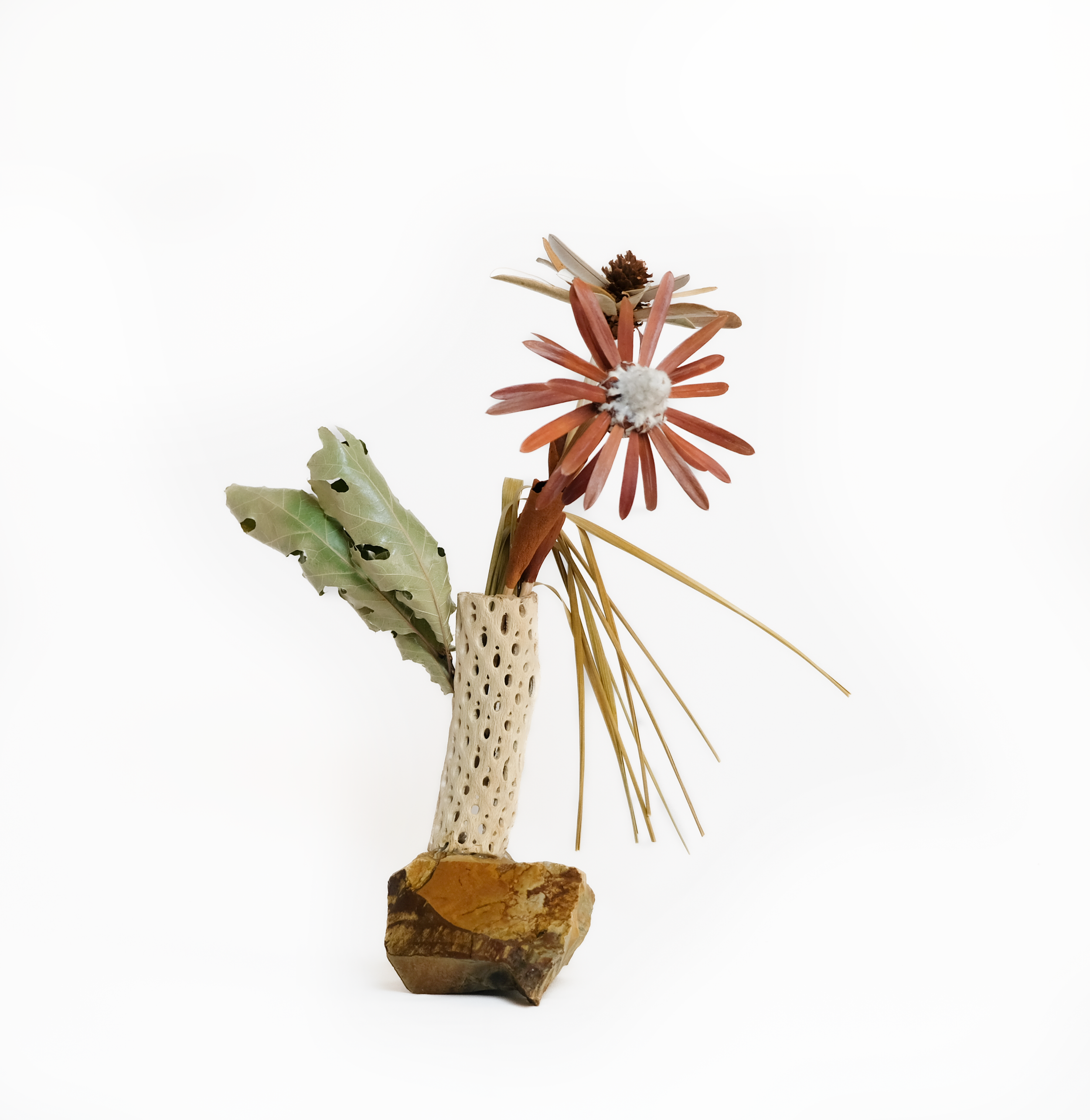 Teva Wonders Aug 13 (5).png