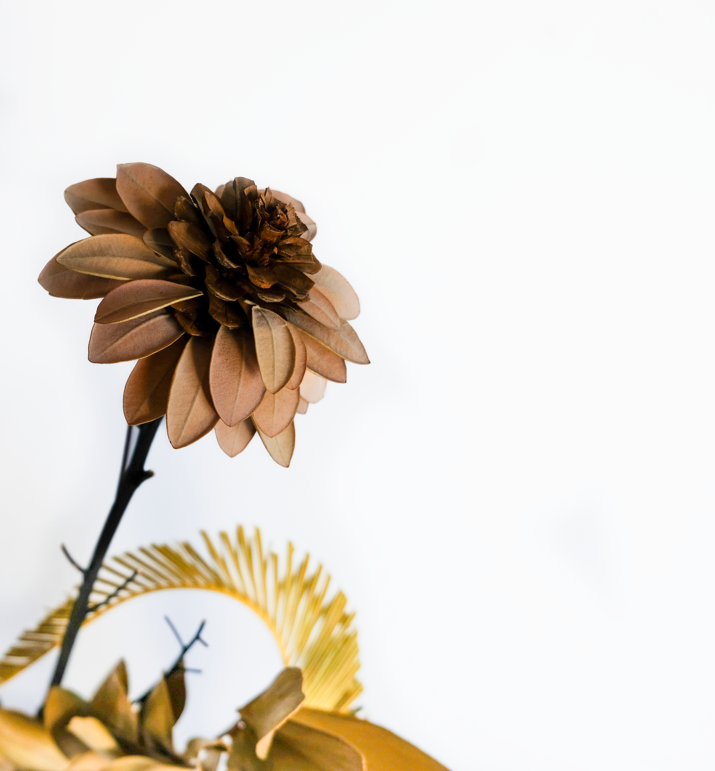 Teva Wonders Sept16 (3).png