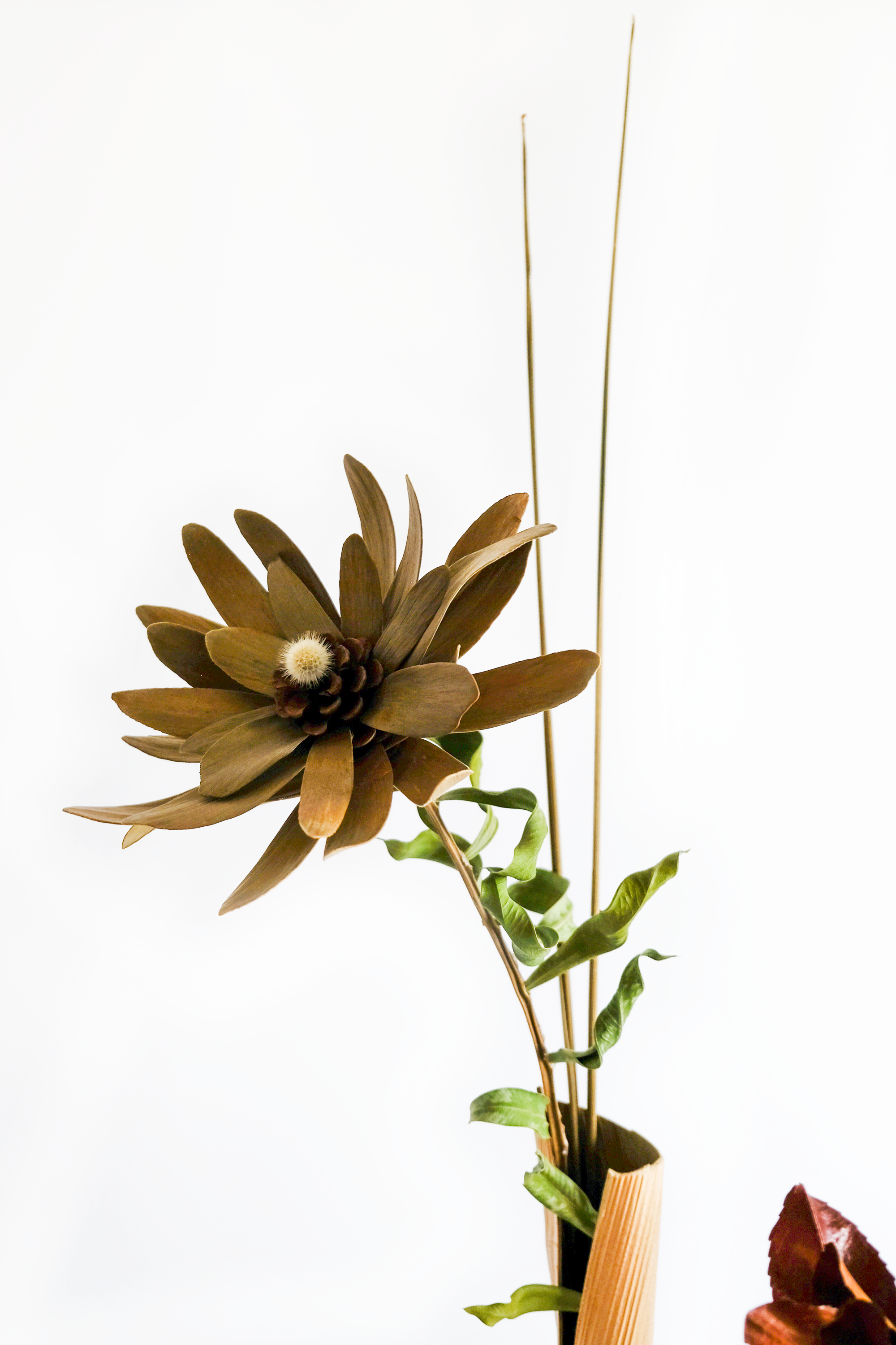 Teva Wonders Sept30 (2).png