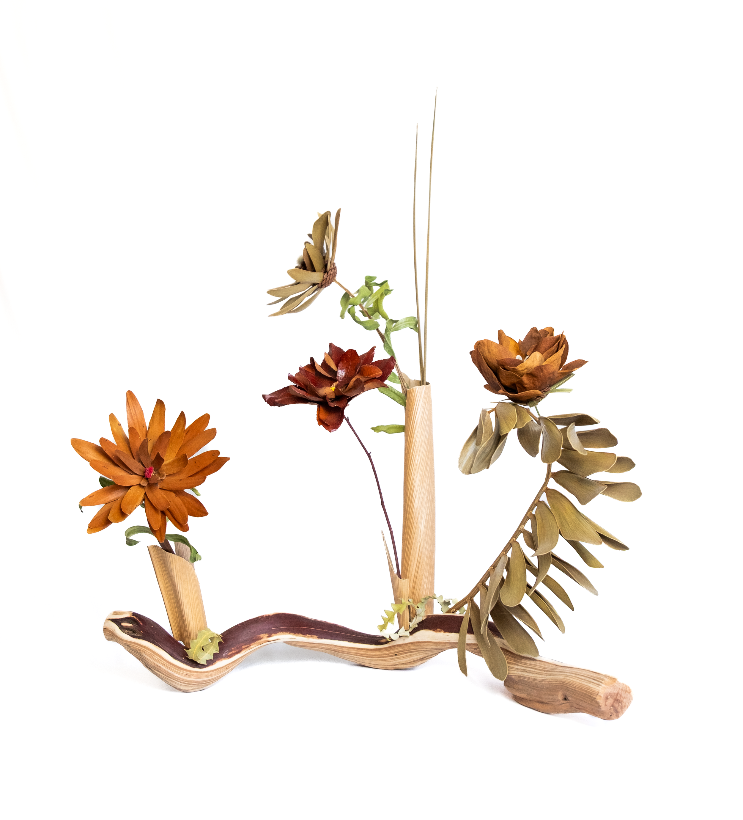 Teva Wonders Sept5 (3).png