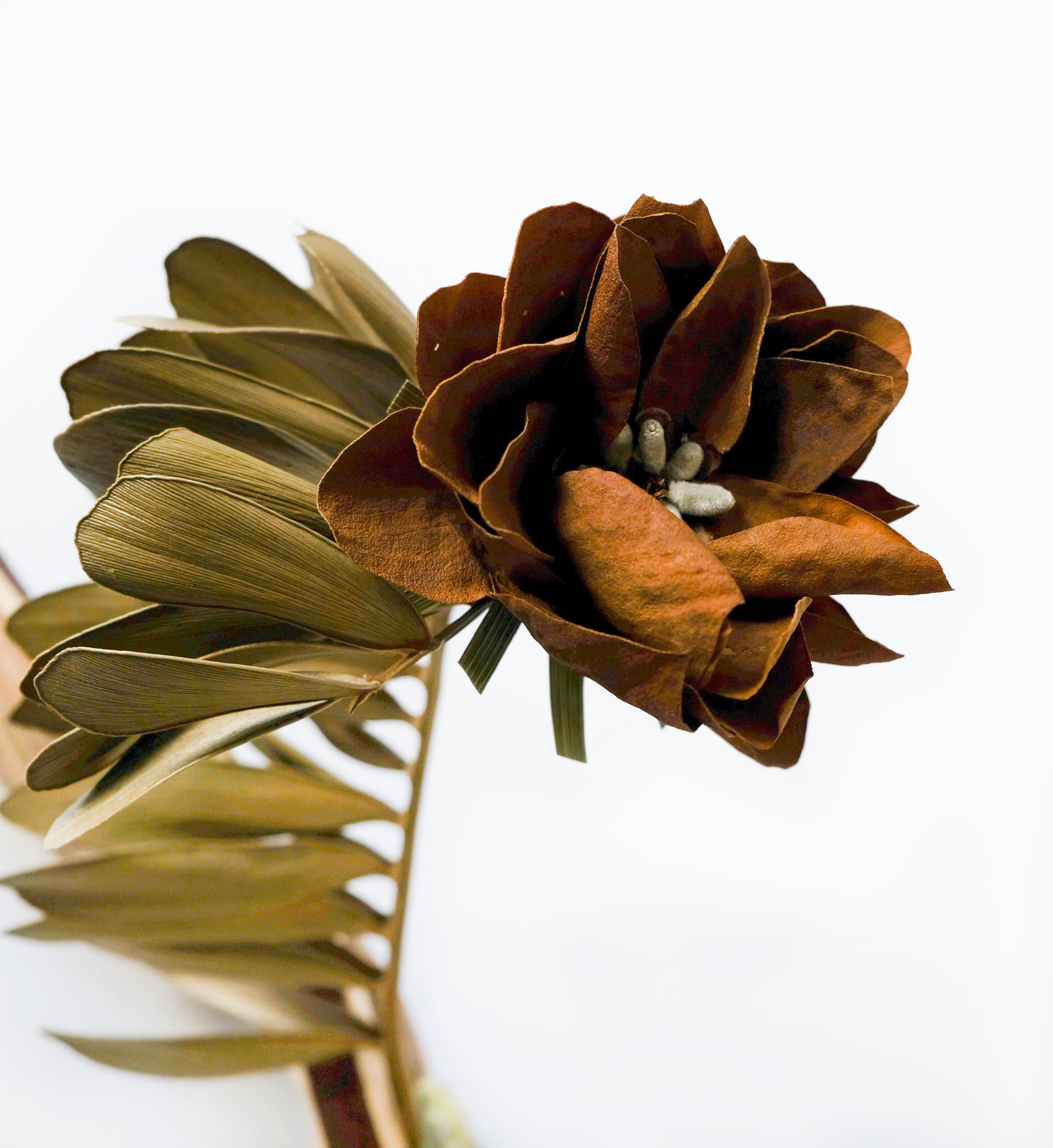 Teva Wonders Sept28 (2).png