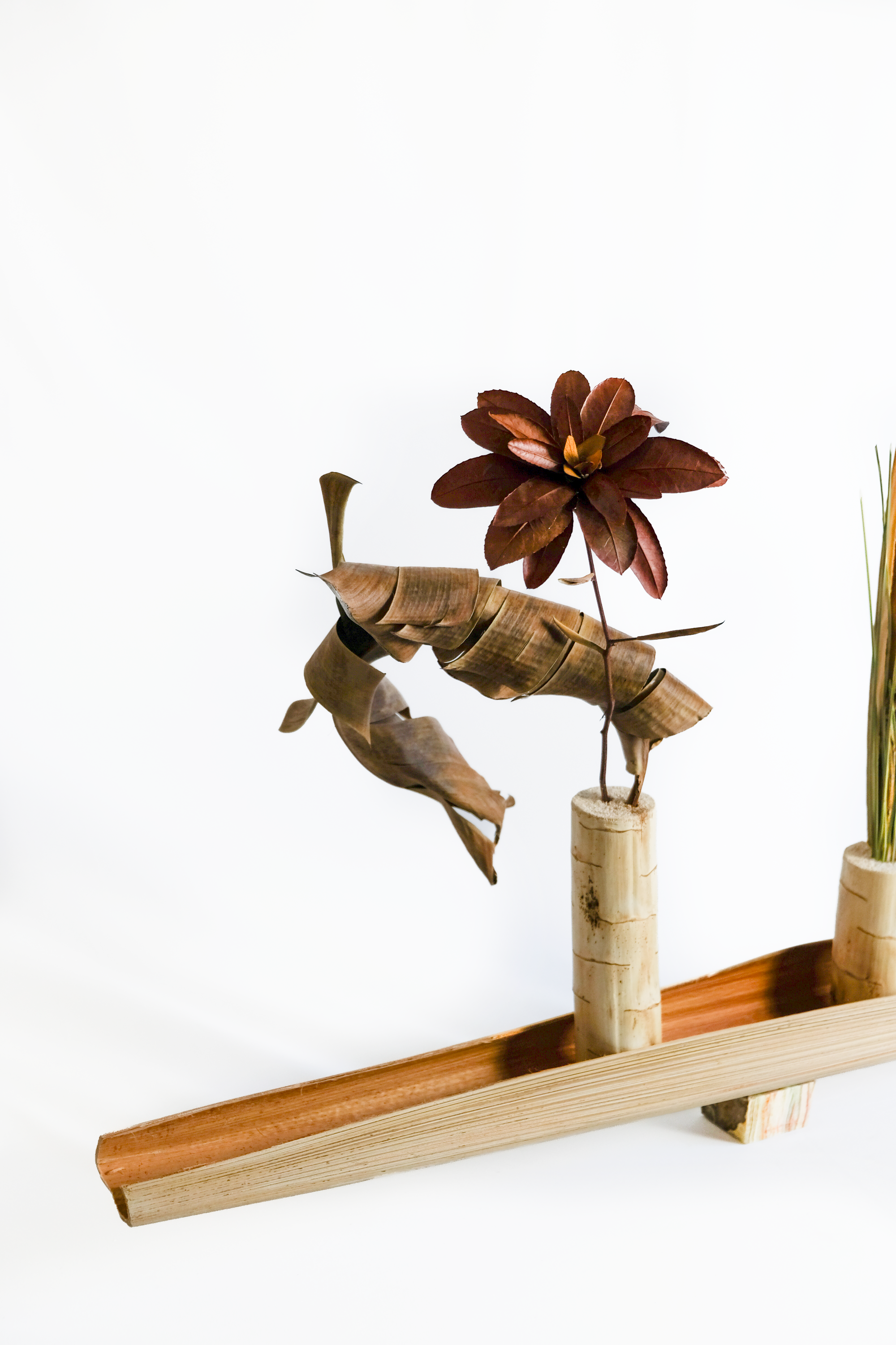 Teva Wonders Sept2 (1).png