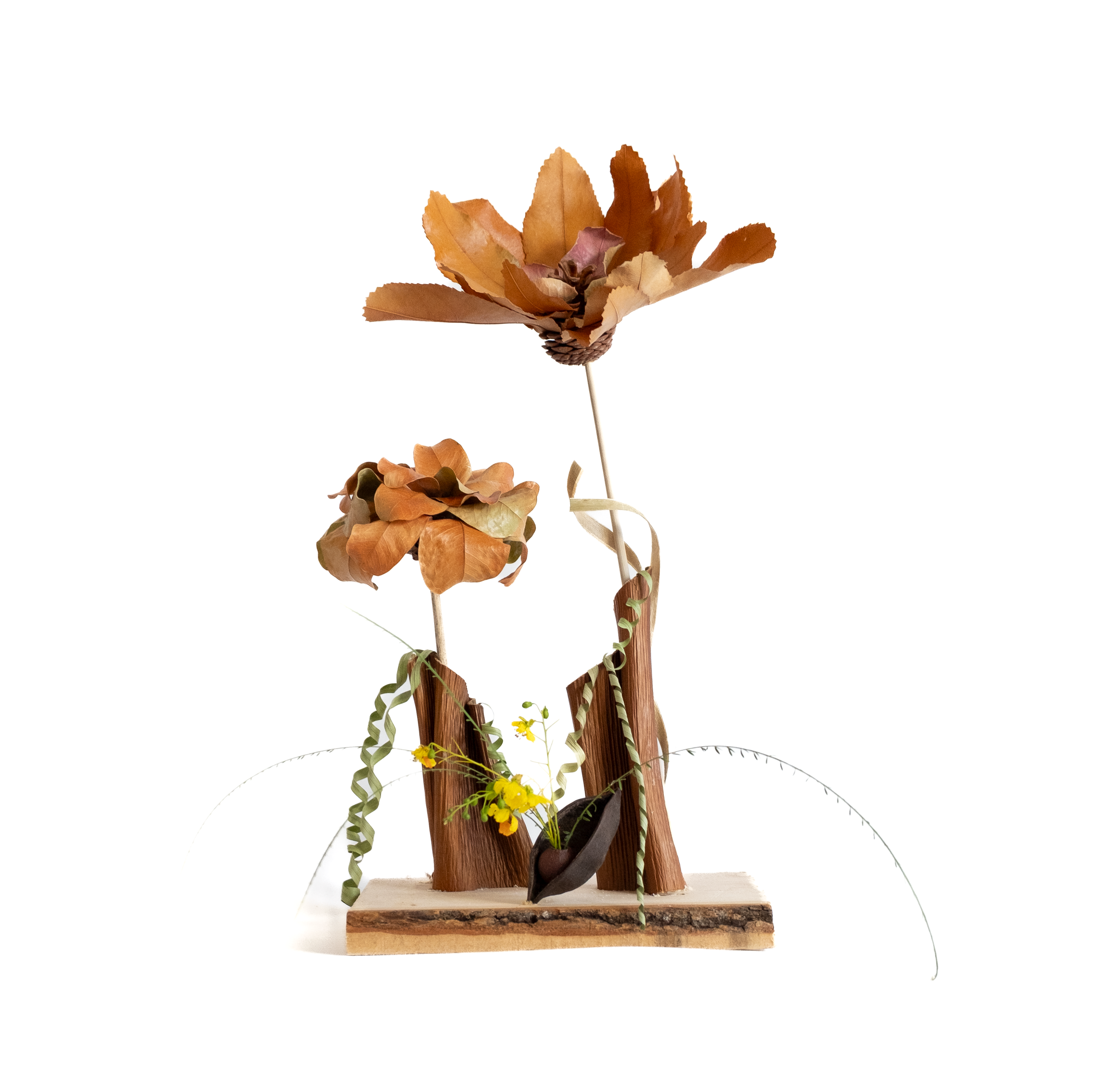 Teva Wonders Sept12 (3).png