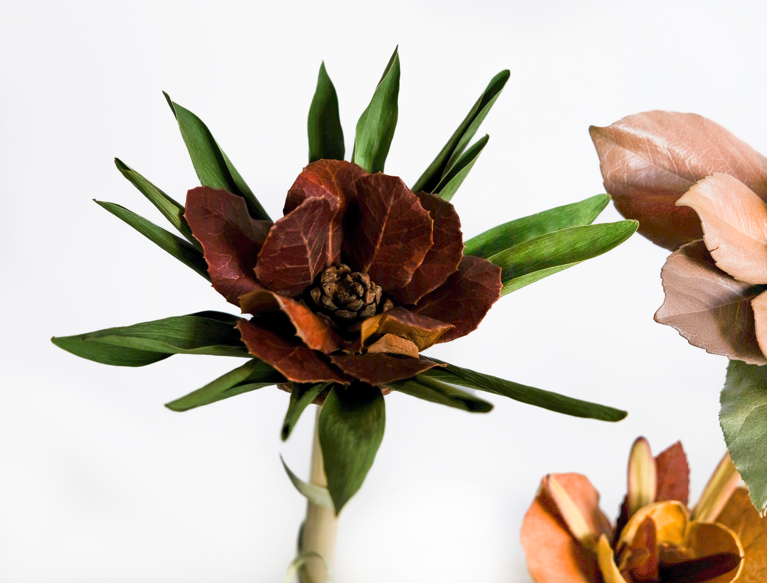 Teva Wonders Sept25 (2).png